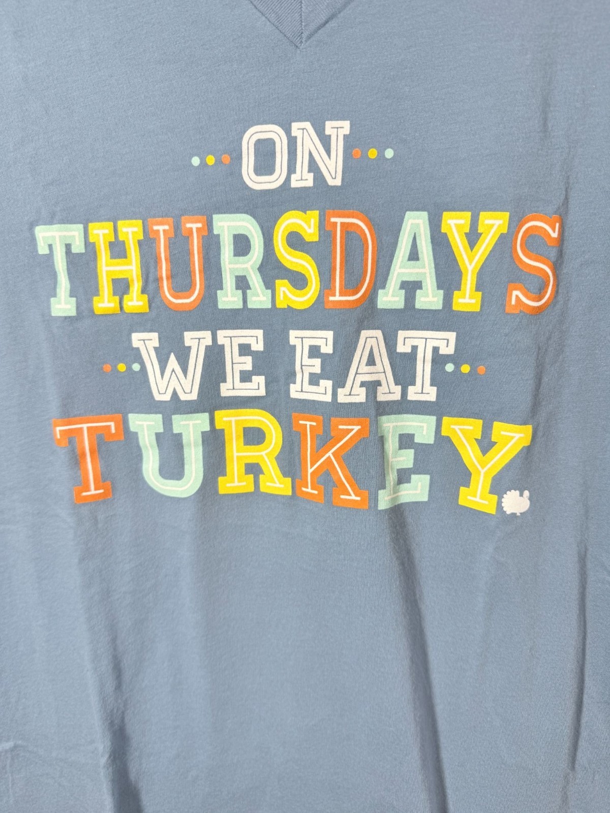 Womens Medium Funny Thanksgiving T-Shirt V Neck Light Blue Graphic Holiday Tee