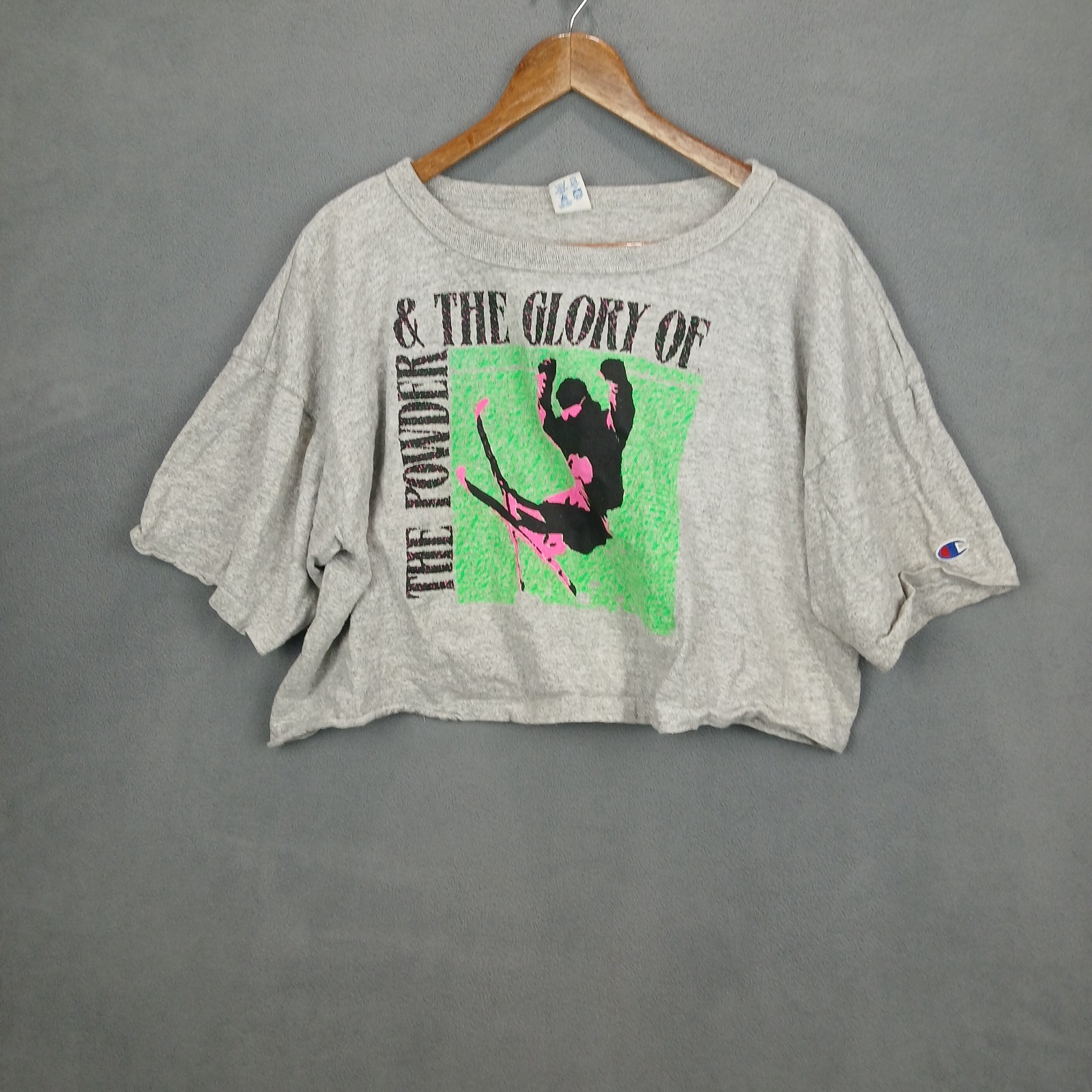 Vintage Glory of the Powder Cropped Ski T-Shirt Women’s XL Gray Champion Skiing