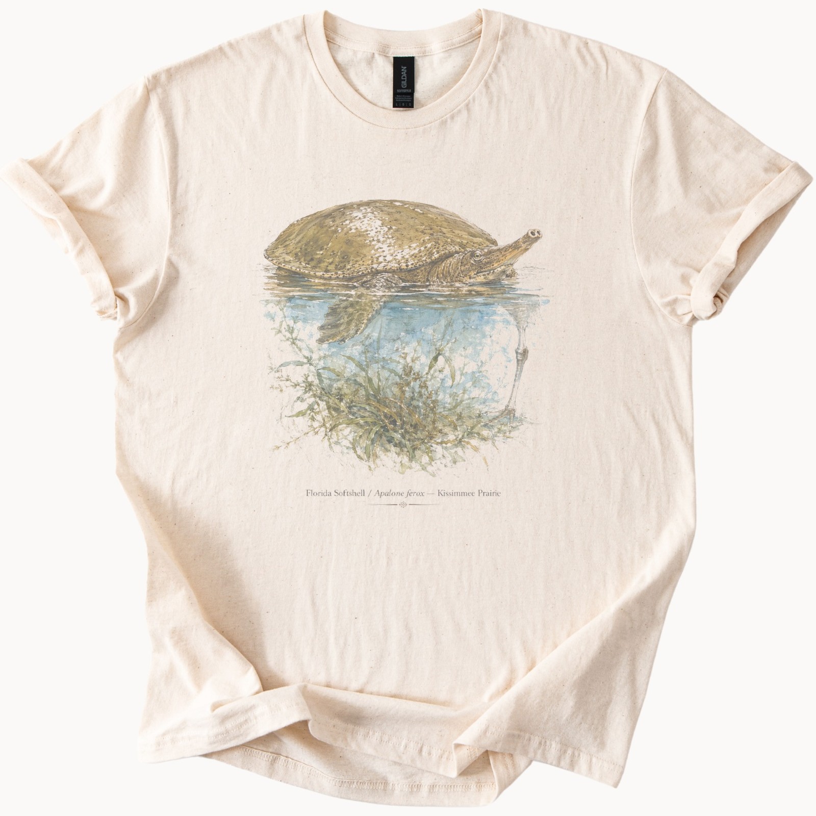 Softshell Turtle Art Boho Nature Tee