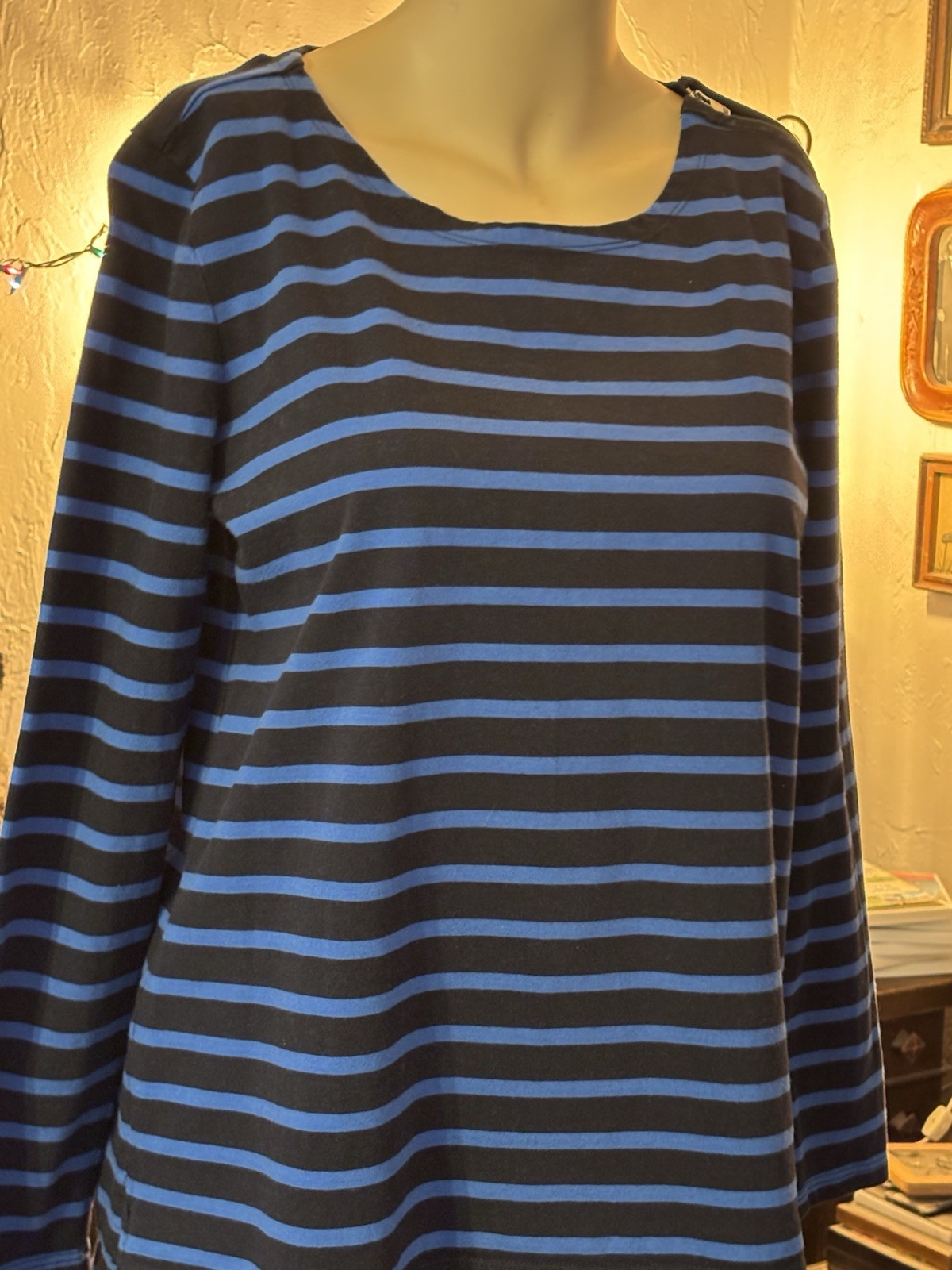Ann Taylor Women’s 100% Cotton Blue Stripe Pull Over Top Long Sleeve Size Large