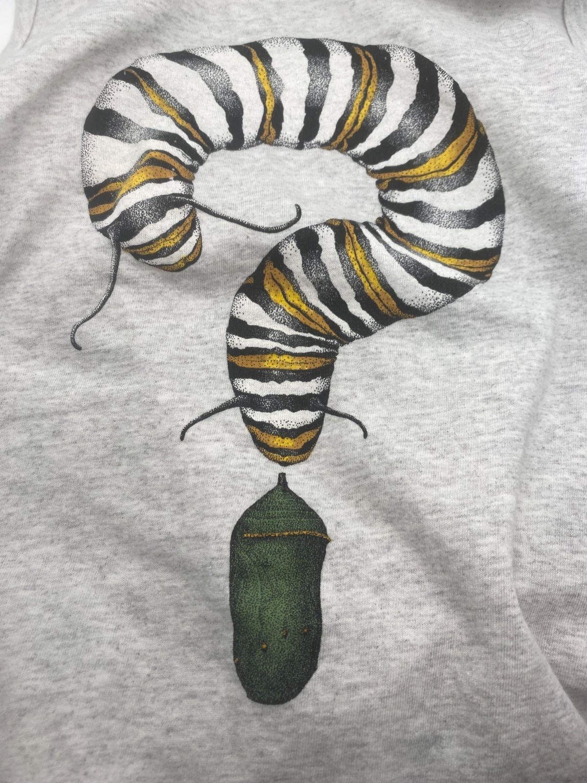 Women’s Grey Tanktop M 90s Art Graphic Monarch Butterfly Caterpillar by D Tyler