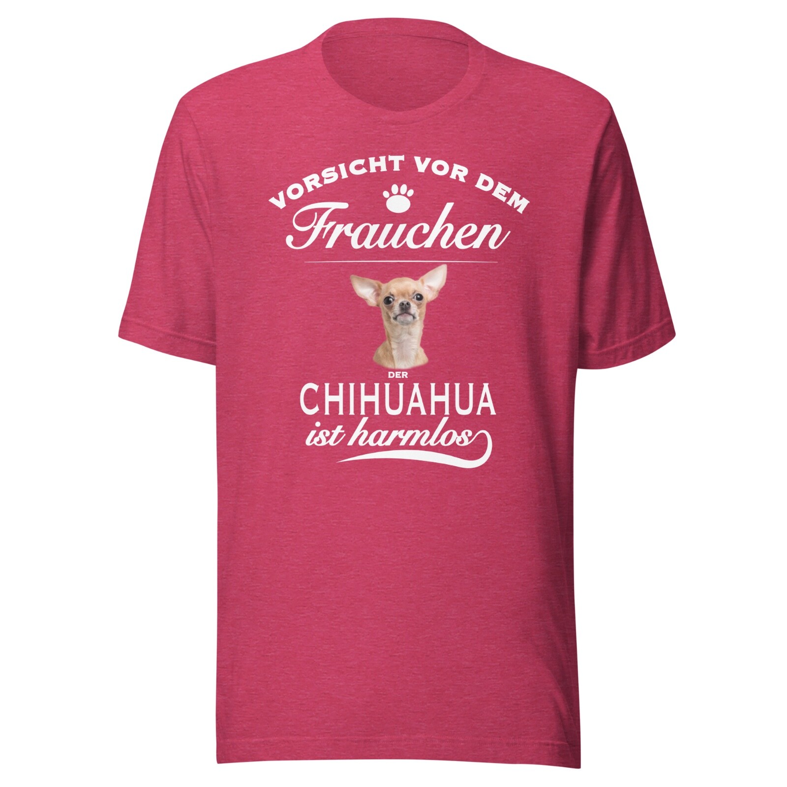 Beware of the mistress of the Chihuahua is harmless – Chihuahua Dog