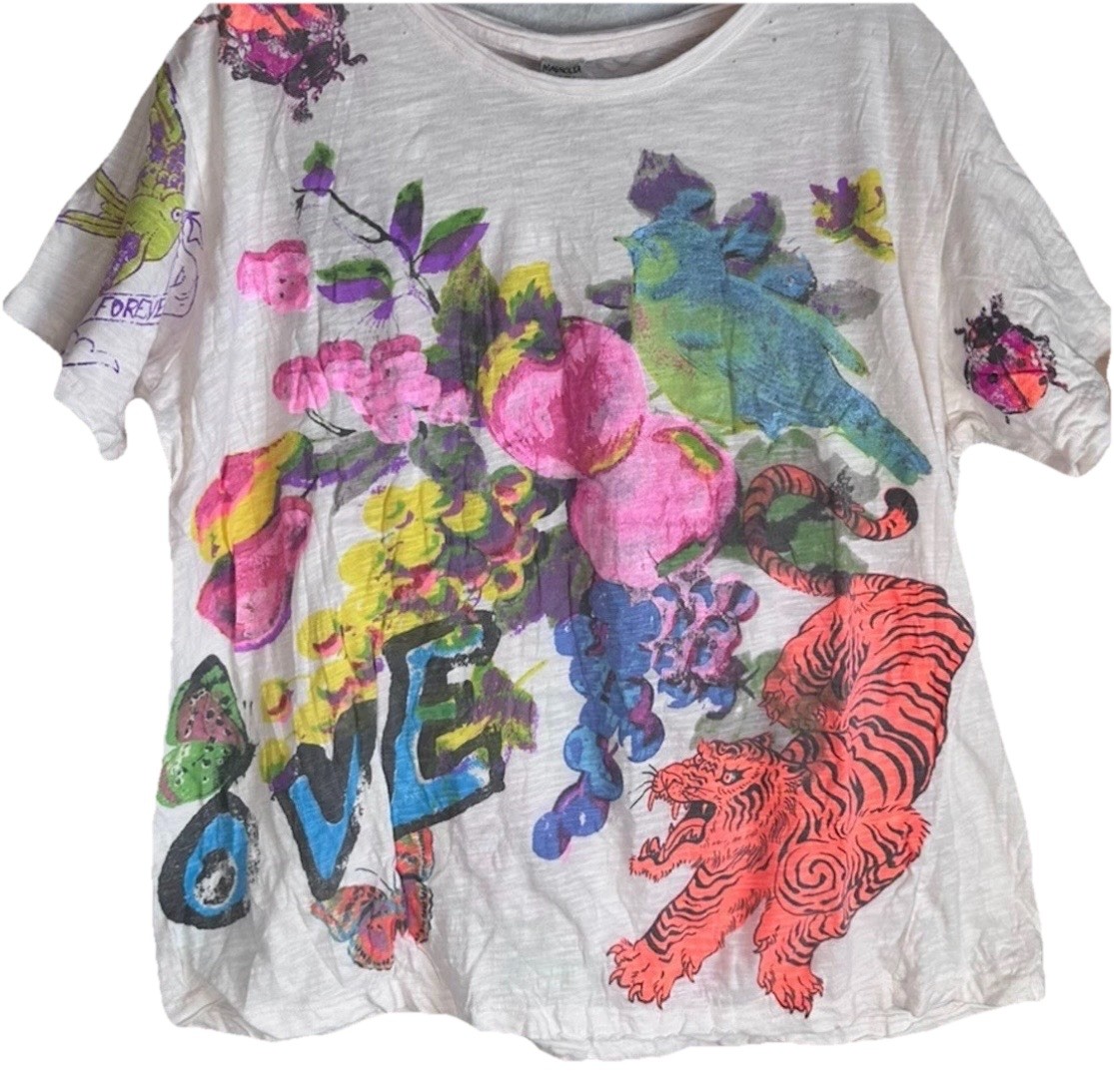 NWT Magnolia Pearl Fruitful Graphics Tee Shirt 🐅 🍌 Sold Out 🍎 🦋