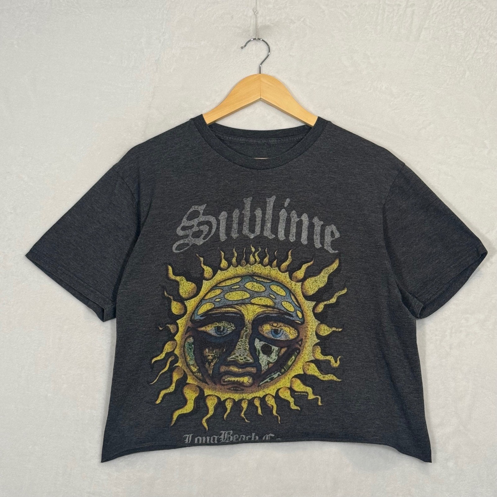 Sublime Charcoal Gray Graphic Cropped T-Shirt Large