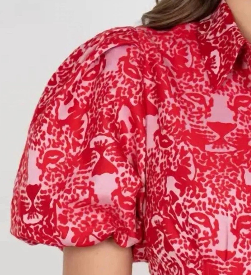 Emily McCarthy Brit Top in Cheeky Cheetah Size Large Pink and Red Puffy Sleeves