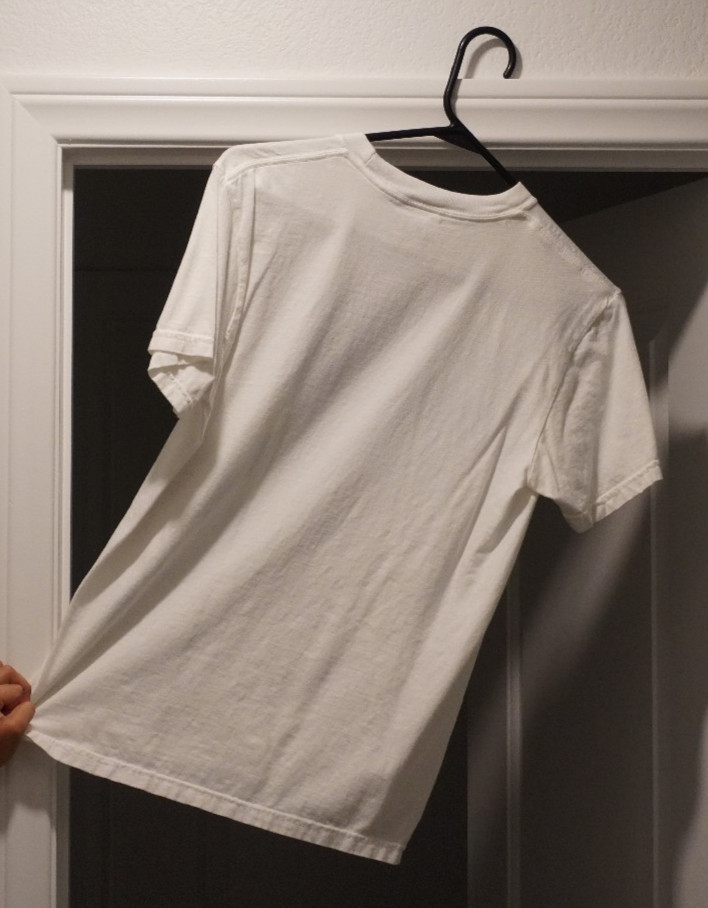 Clairo Charm Album T-Shirt Small White 100% Cotton Deer Print Band Merch Indie