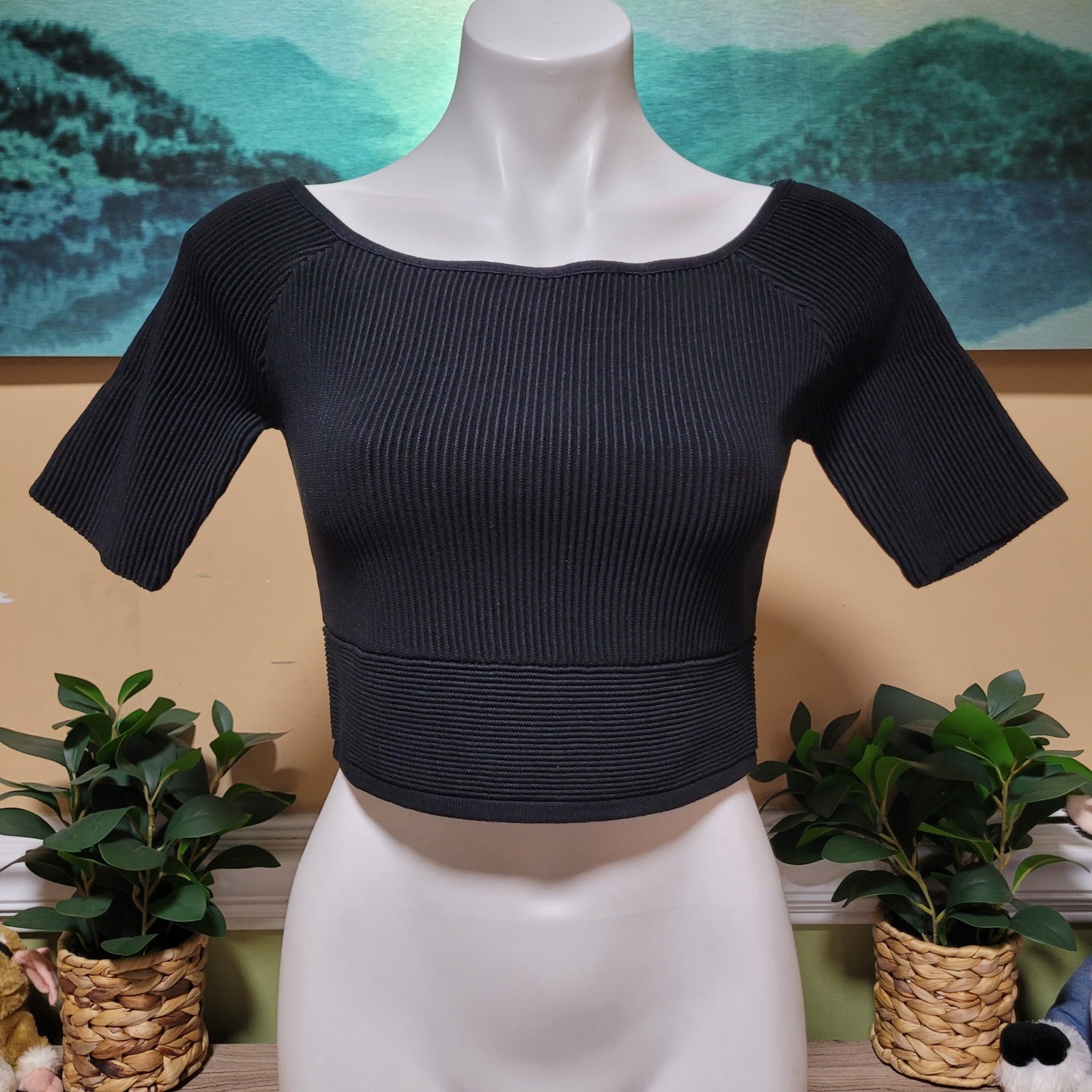 Endless Rose Black Ribbed Boat Neck Cropped Top Short Sleeve Zipper Size S new