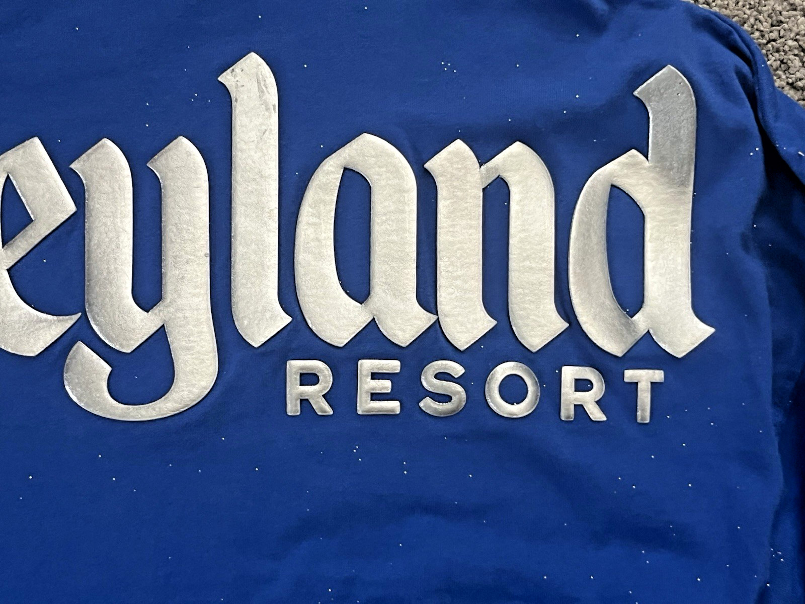 Disney Parks Spirit Jersey Blue Silver Glitter Sparkle Sweatshirt Size M