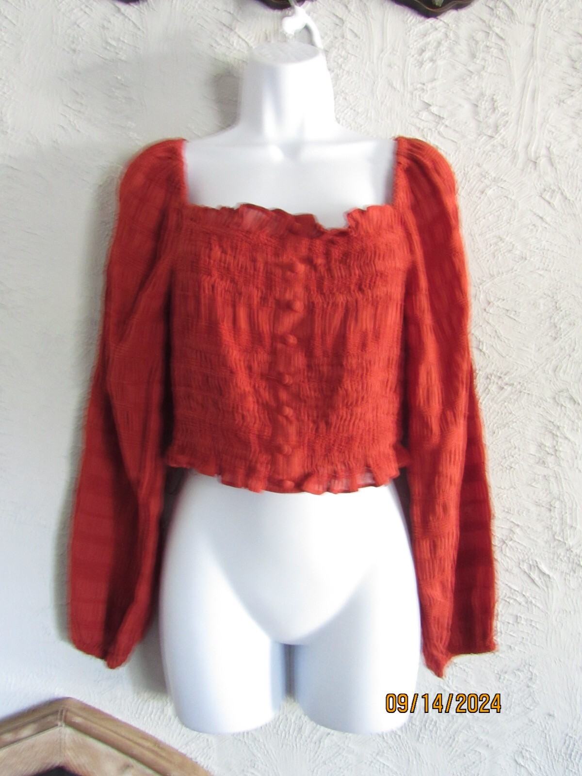 Gianni Bini nwt sz S Rylee blouse brick pumpkin spice long puff sleeves cropped