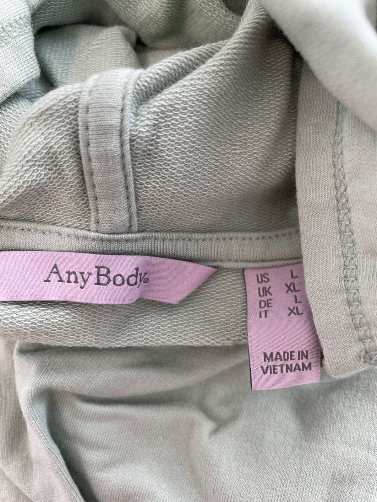 AnyBody Top Large Lounge Cozy Knit Puff Sleeve Hooded Pullover Aqua Sage Green