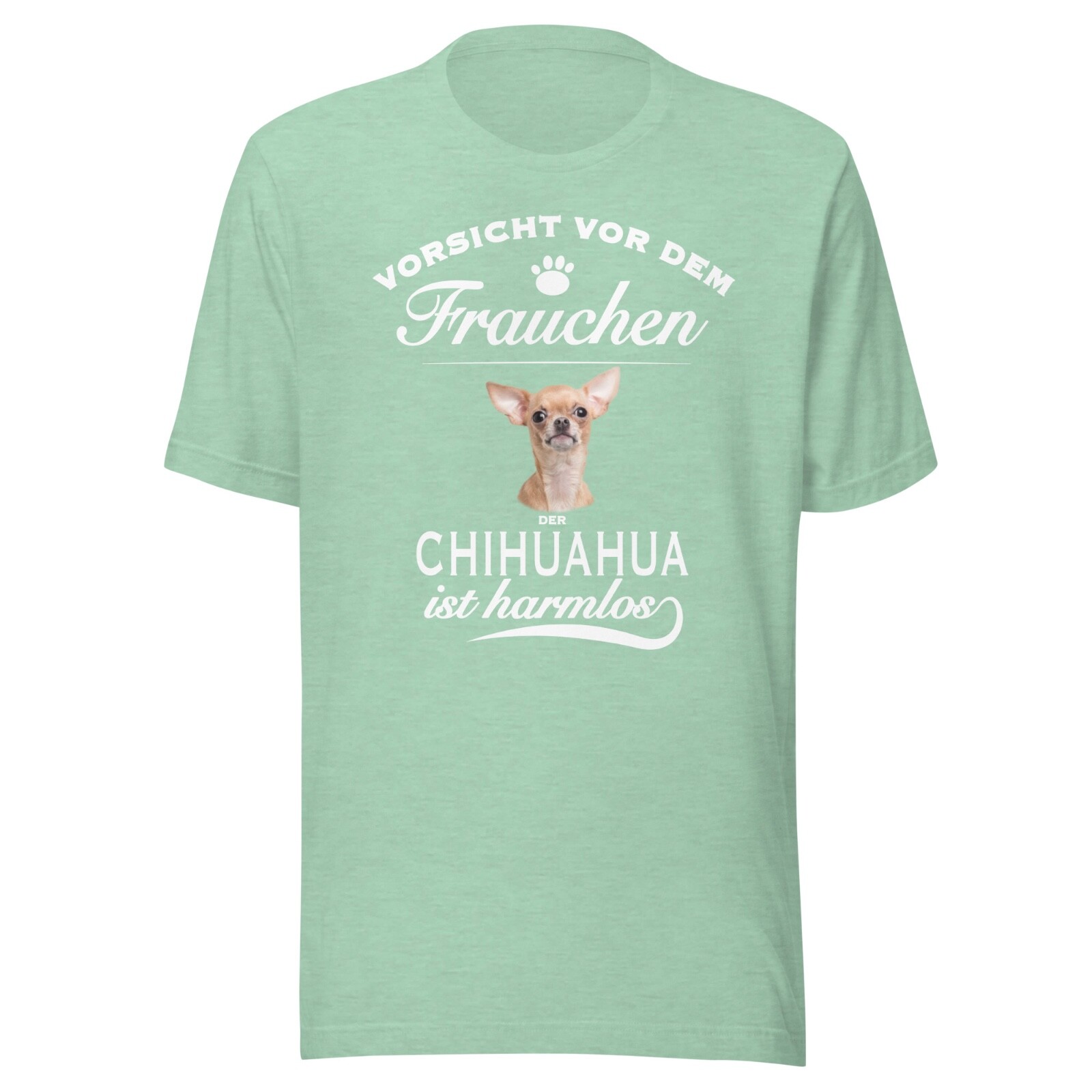 Beware of the mistress of the Chihuahua is harmless – Chihuahua Dog