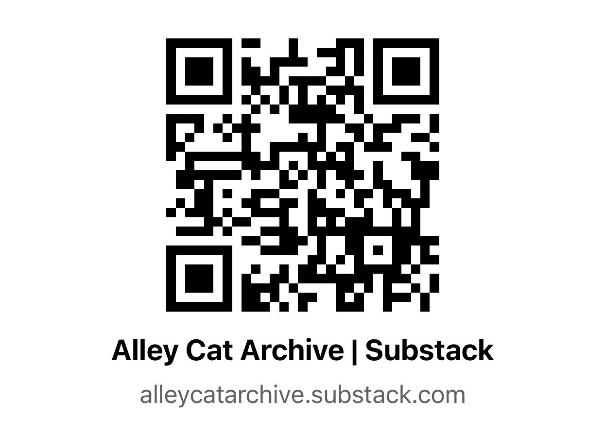 READ! Vintage Y2K & 90s Curated Womens Clothing, Shoes, & Accessories XXS-Plus
