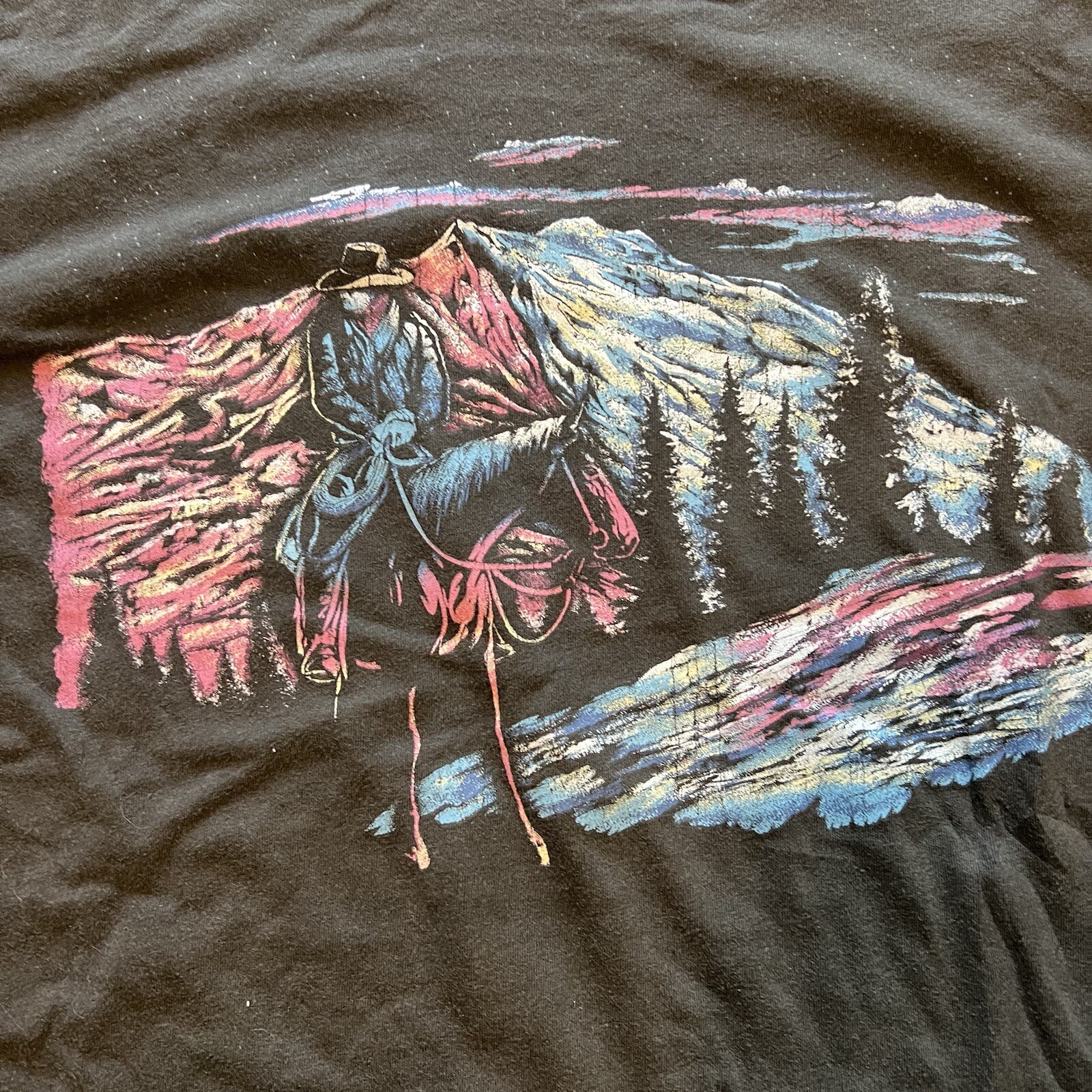 American Highway Long Sleeve Western Cowboy Horse Mountain Graphic Tee Shirt S