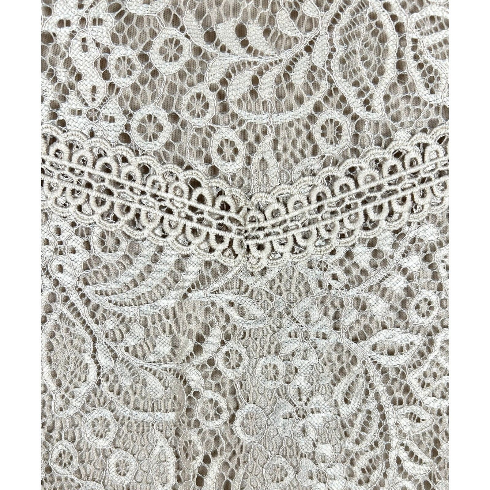 NWT Cable & Gauge Champagne Lace Blouse Top Boho Lined Short Sleeve Size M