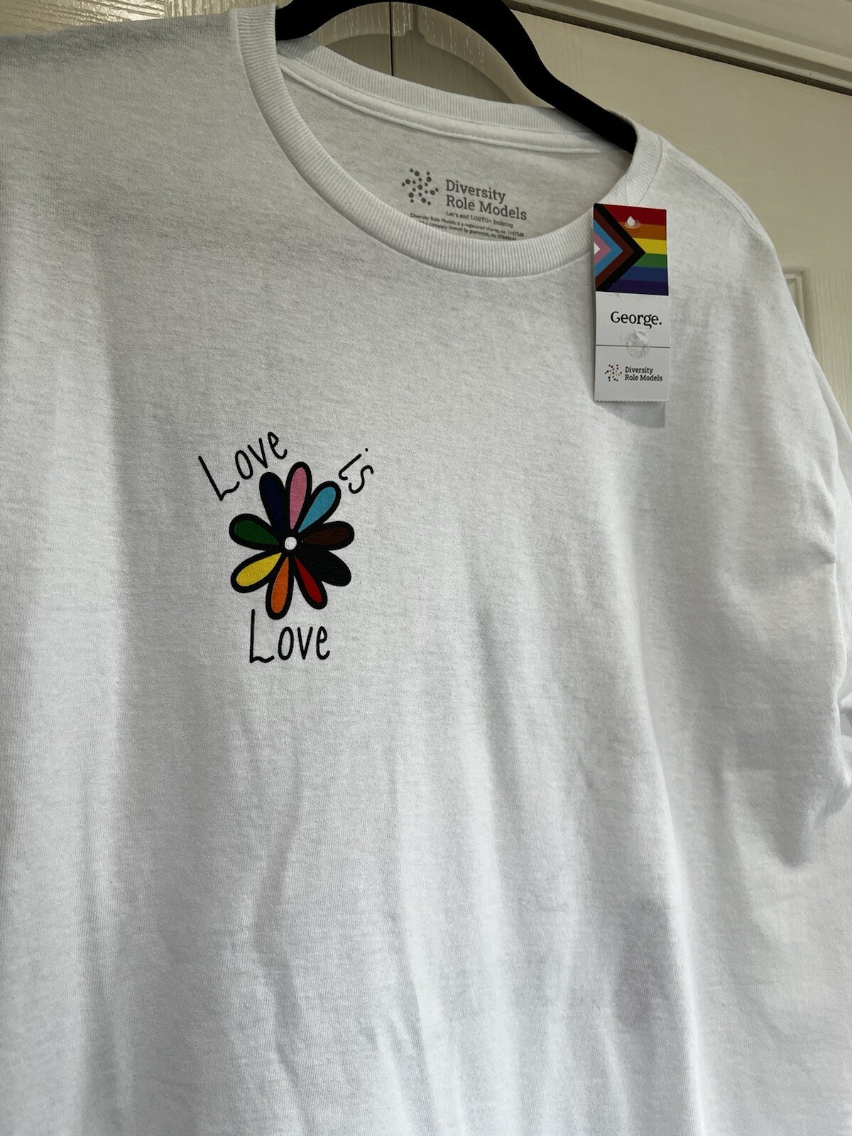 NEW Diversity T Shirt White Age 14 15 LOVE IS LOVE Role Models Tags Rainbow