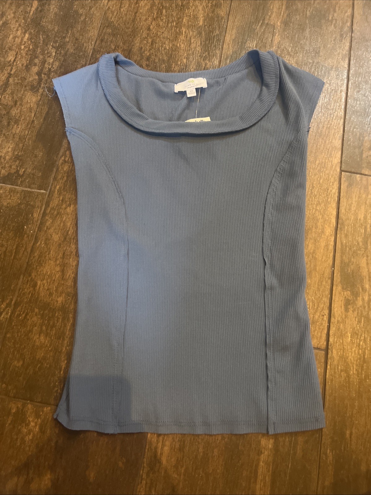 Live in the Moment Blue Round Neckline Sleeveless Top Size XS NWT