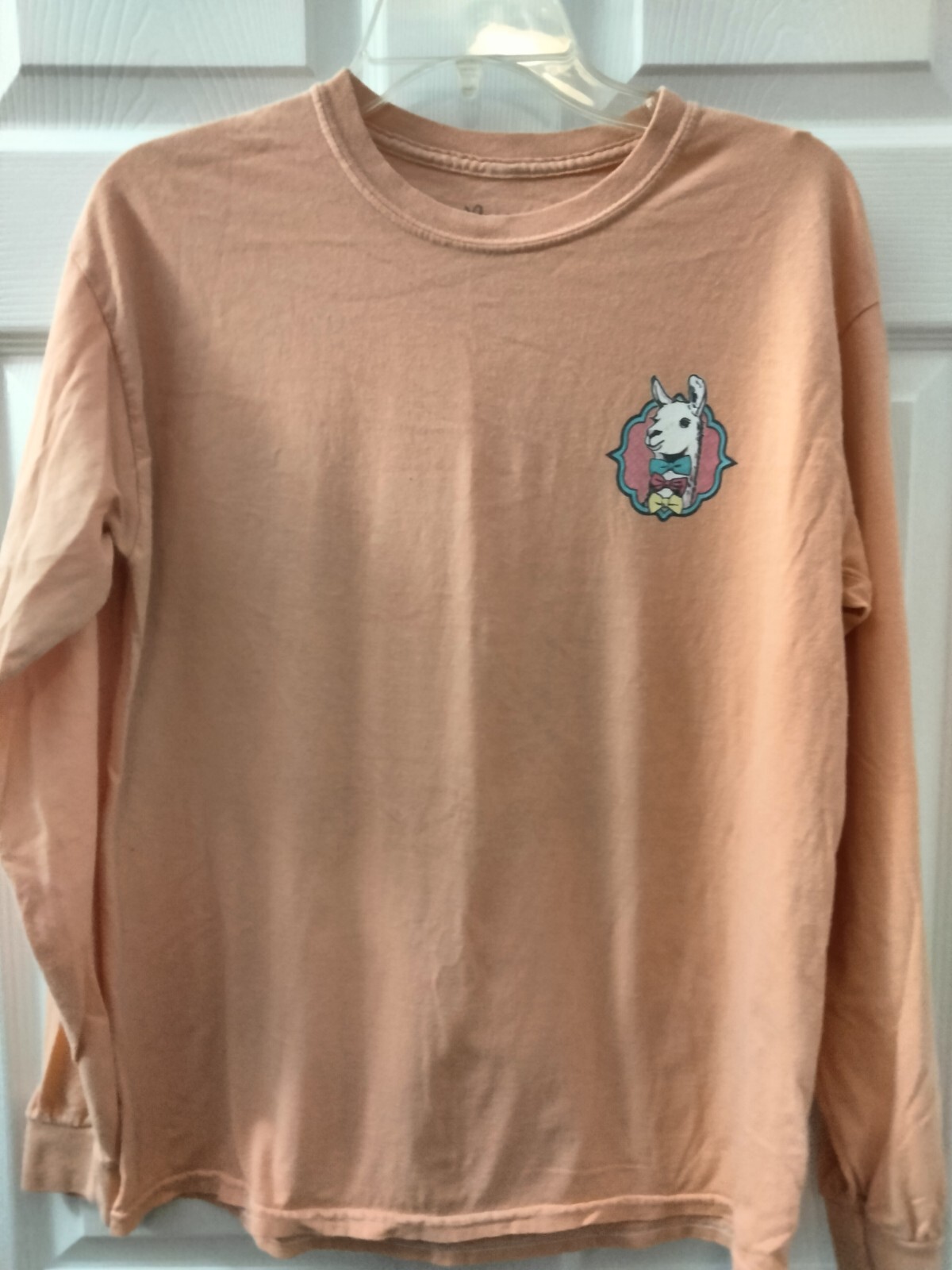 Benny And Belle Long Sleeve Southern Charm Llama T-shirt