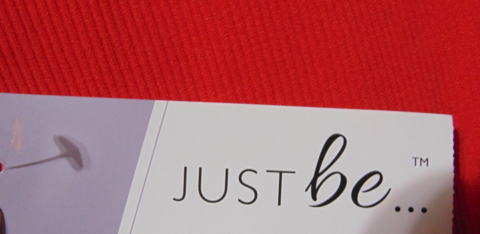 Women’s JUST BE…Plus Size 3X Ribbed Scoop Neck Long Sleeve True RED Top NWT