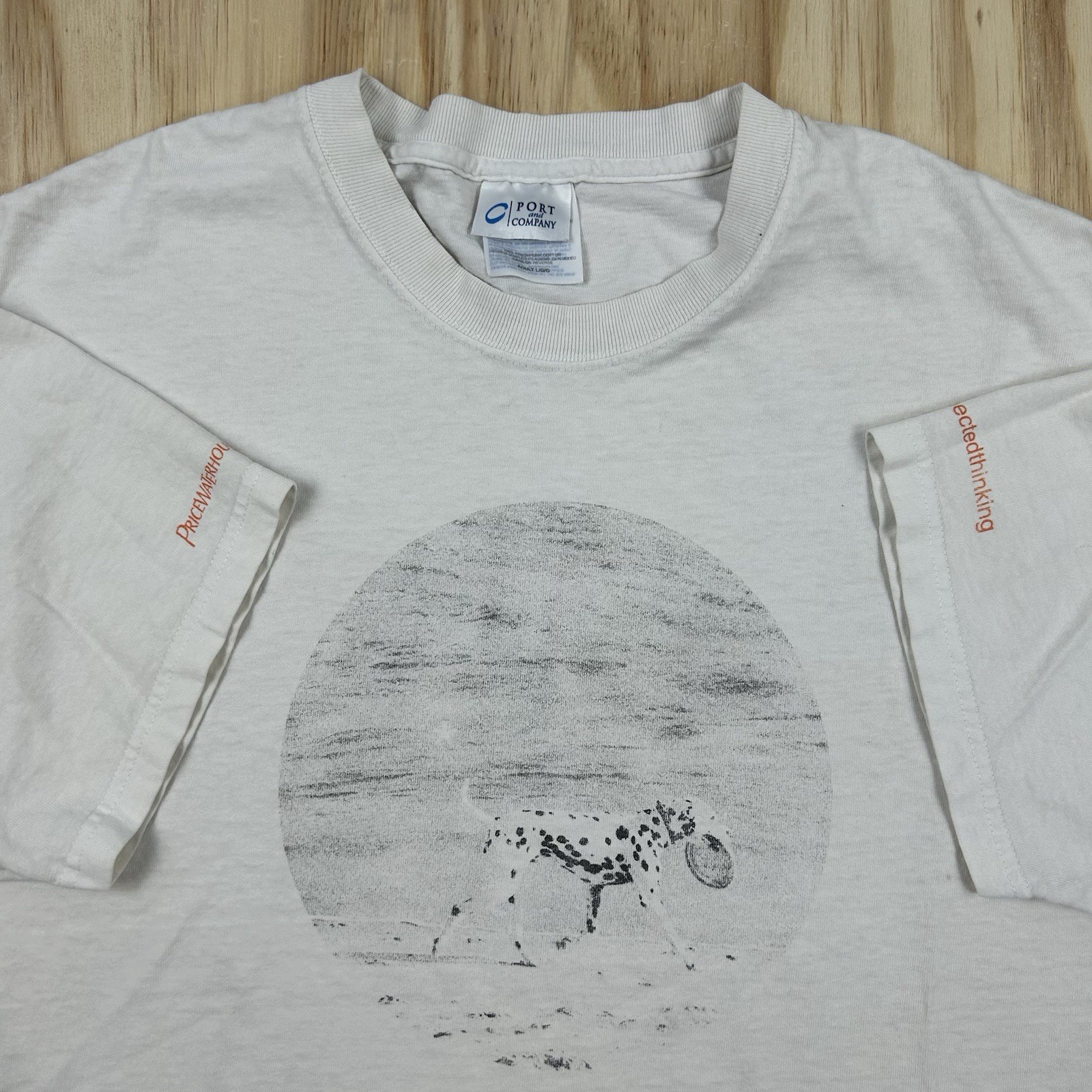 Vintage Y2K Dog on Beach T Shirt White Thrash Flaw Short Sleeve Cute