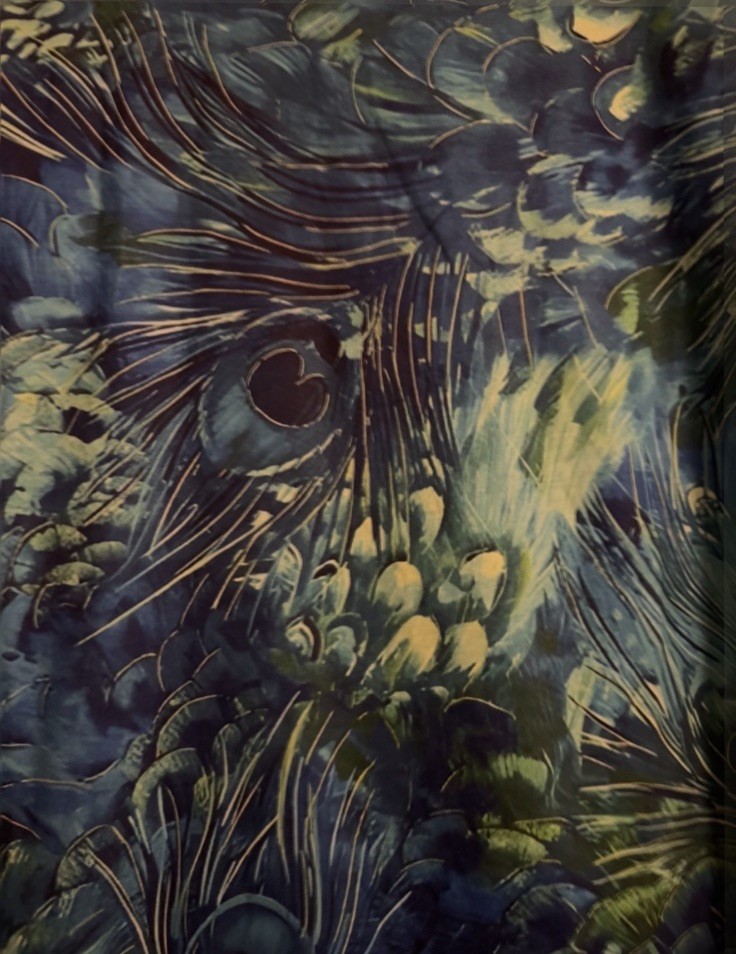 Women’s Plus Size Peacock Feather Print Top From Temu, Size 5XL