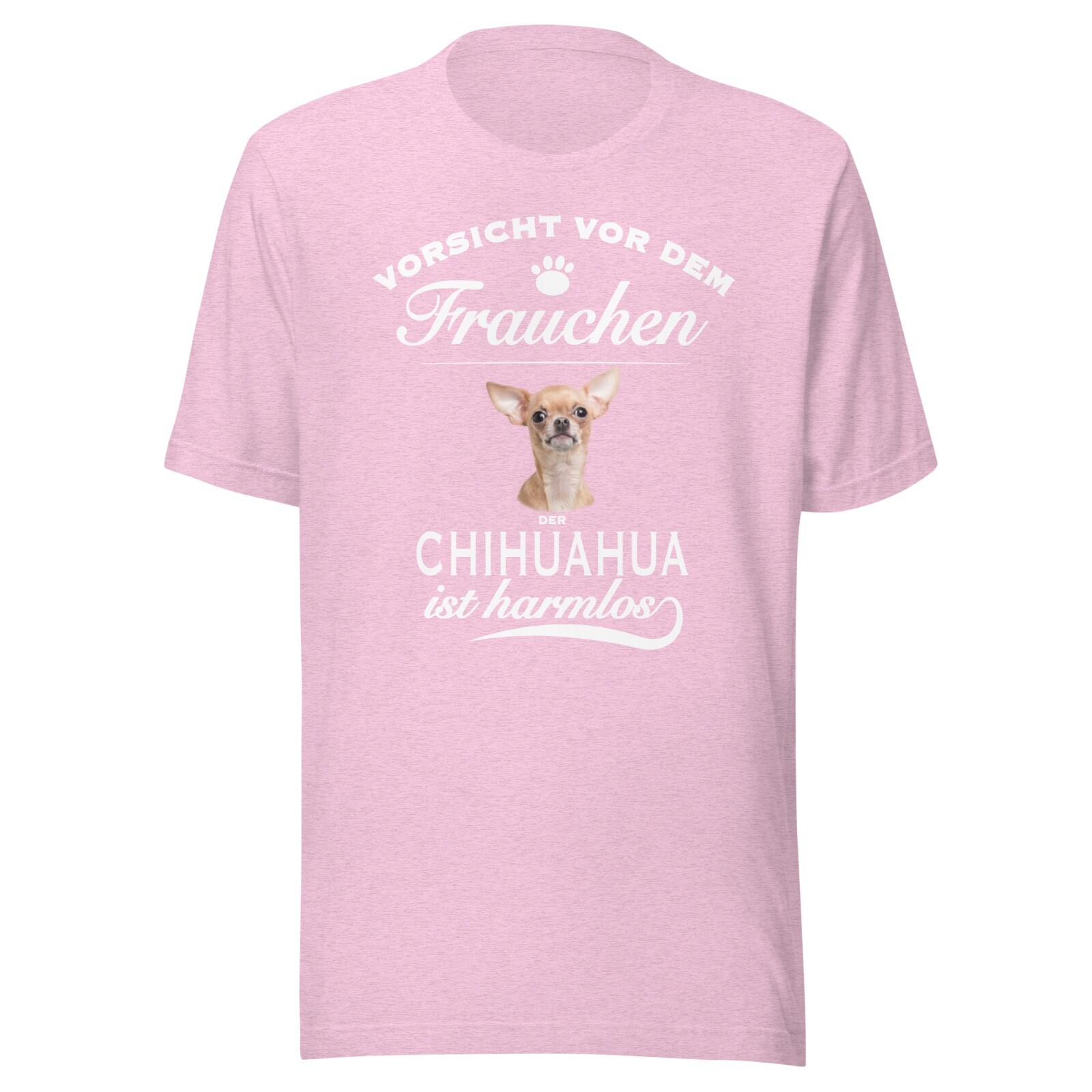 Beware of the mistress of the Chihuahua is harmless – Chihuahua Dog
