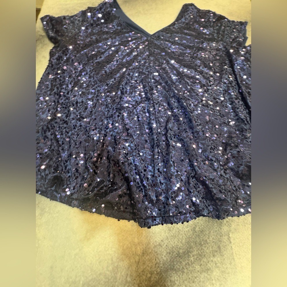 (A4) Roaman’s Sequin Tunic Top Size 30W Plus Size Blue Sparkle Party Blouse Like