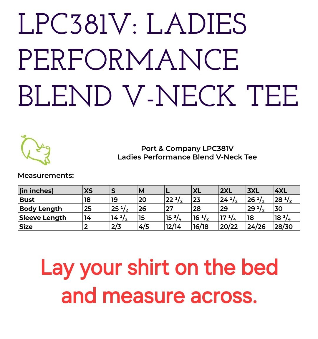New Detroit Lions Rhinestone Relaxed fit Women’s Sizing VNeck T-shirt S – 4X