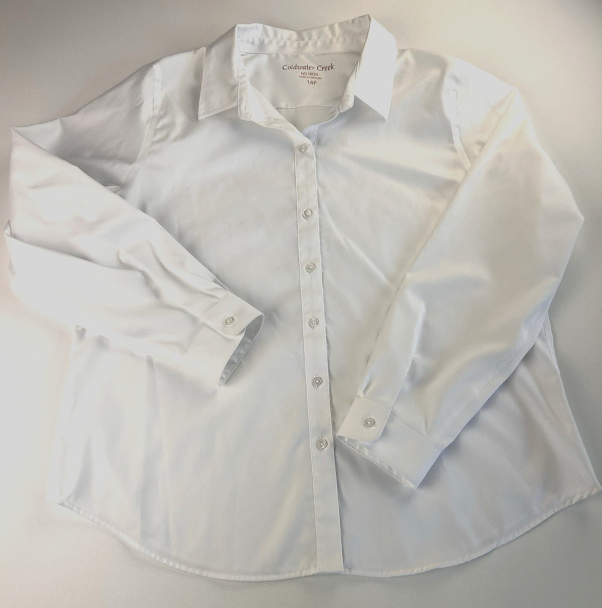 Coldwater Creek Non-Iron Classic Coastal Grandma Effortless Size 14P