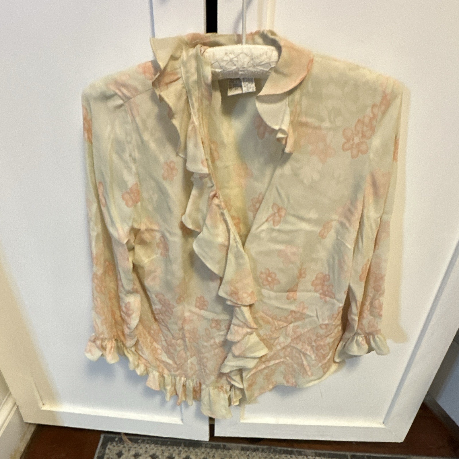 Doncaster Women’s 8 Beige/Pink Floral Silk Chiffon Collared Button Ruffle Sheer