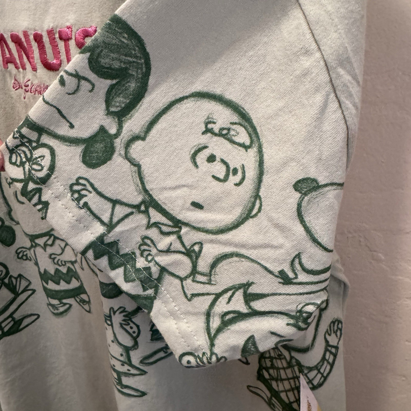 Peanuts T-Shirt Women’s Snoopy, Charlie Brown & Gang Green Embroidered Small NWT