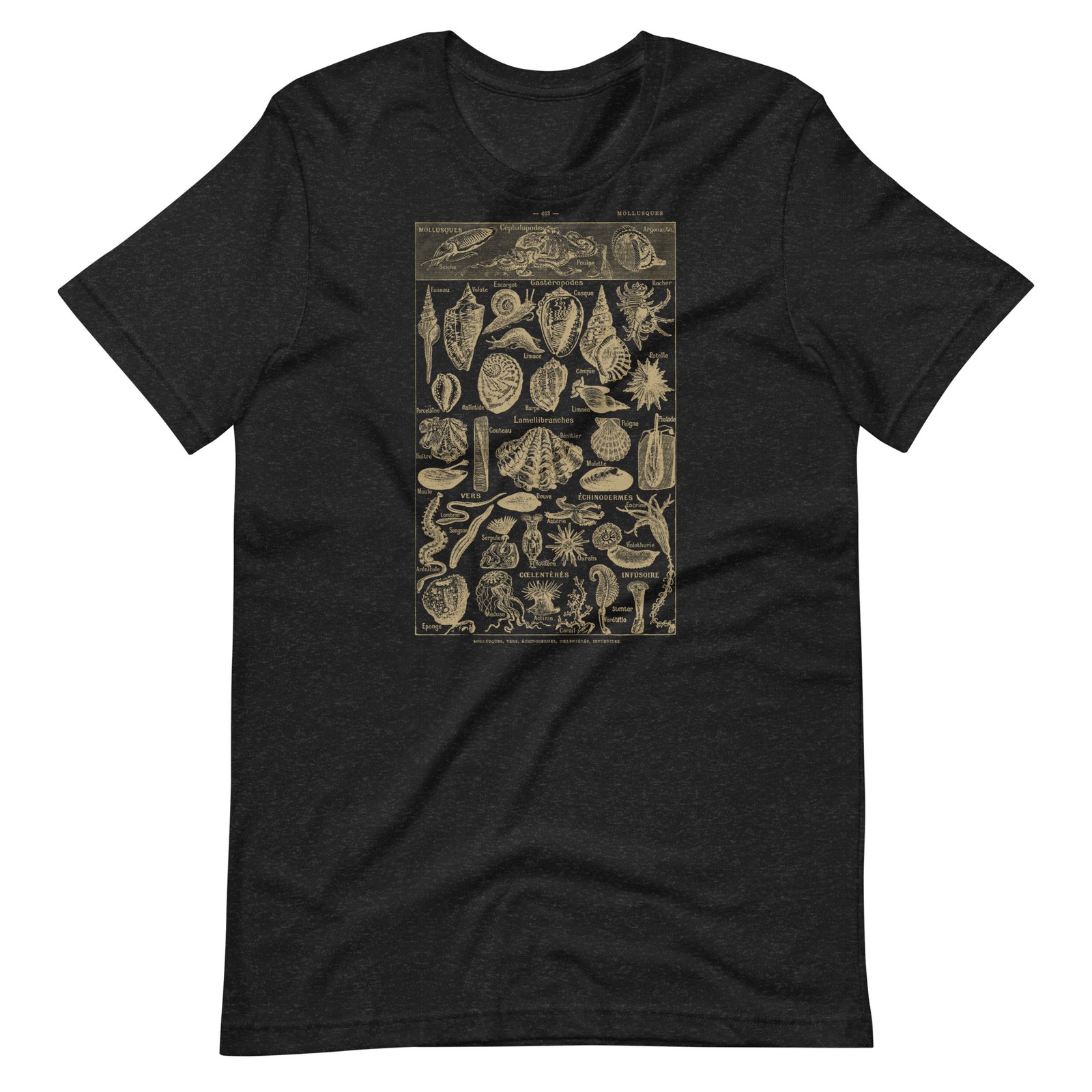 Vintage Ocean Life T-Shirt – Mollusks & Sea Creatures Scientific Diagram Shirt