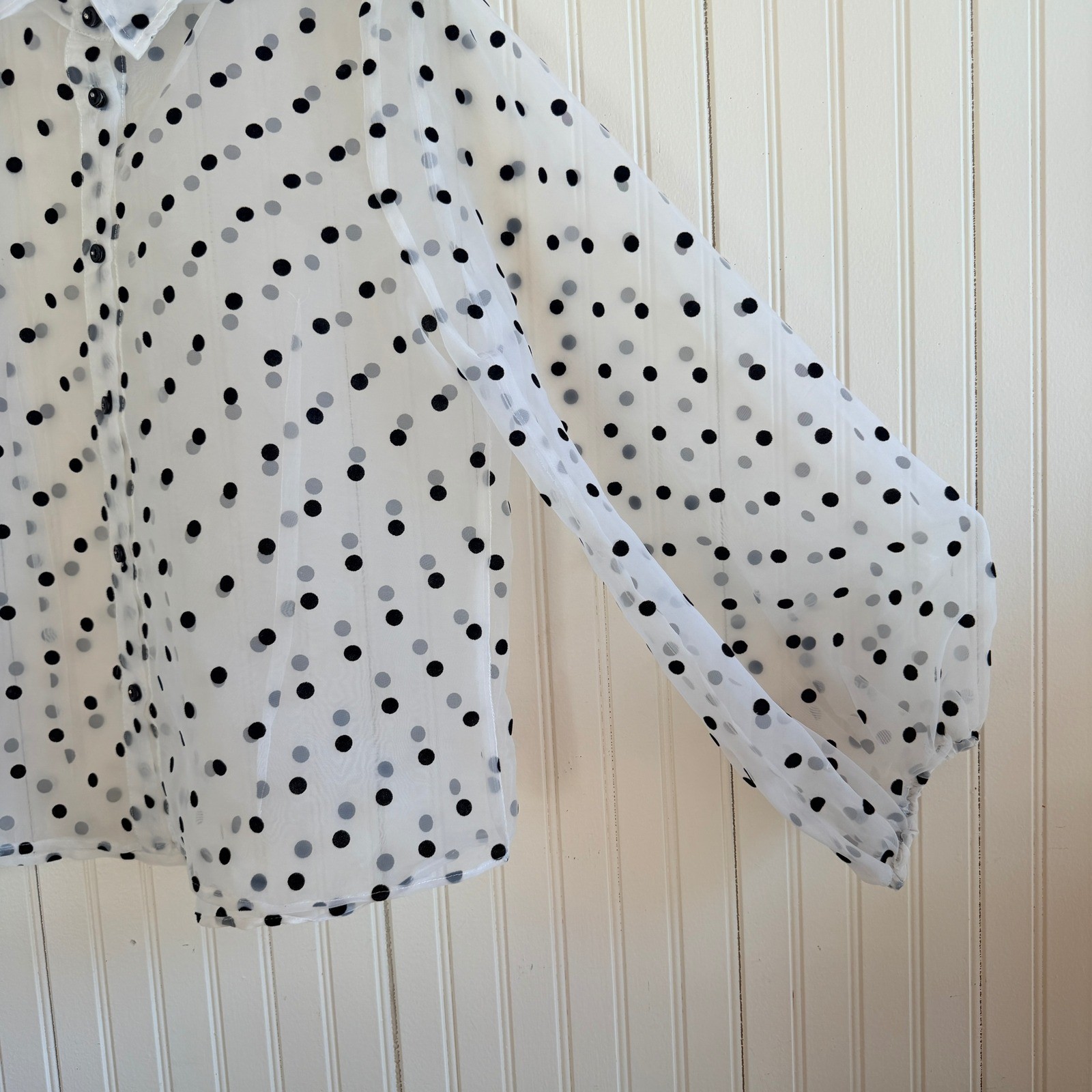 Kaktus Sheer Polka Dot Button Down Whimsigoth Romantic Blouse Balloon Sleeve