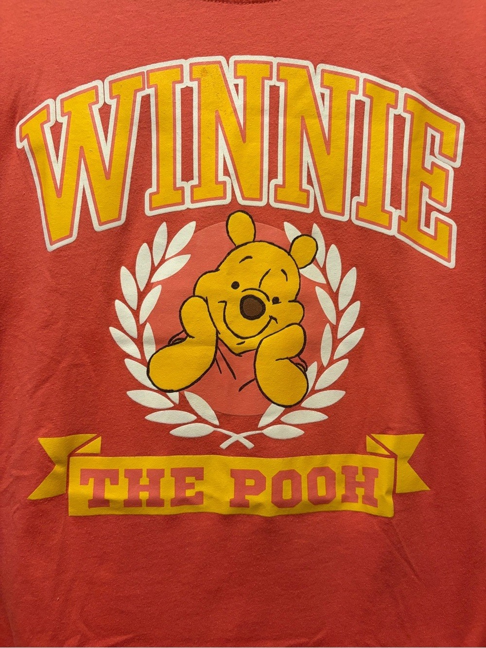 Disney Winnie the Pooh Salmon/Red Unisex Graphic Short Sleeve Tee Shirt Size L