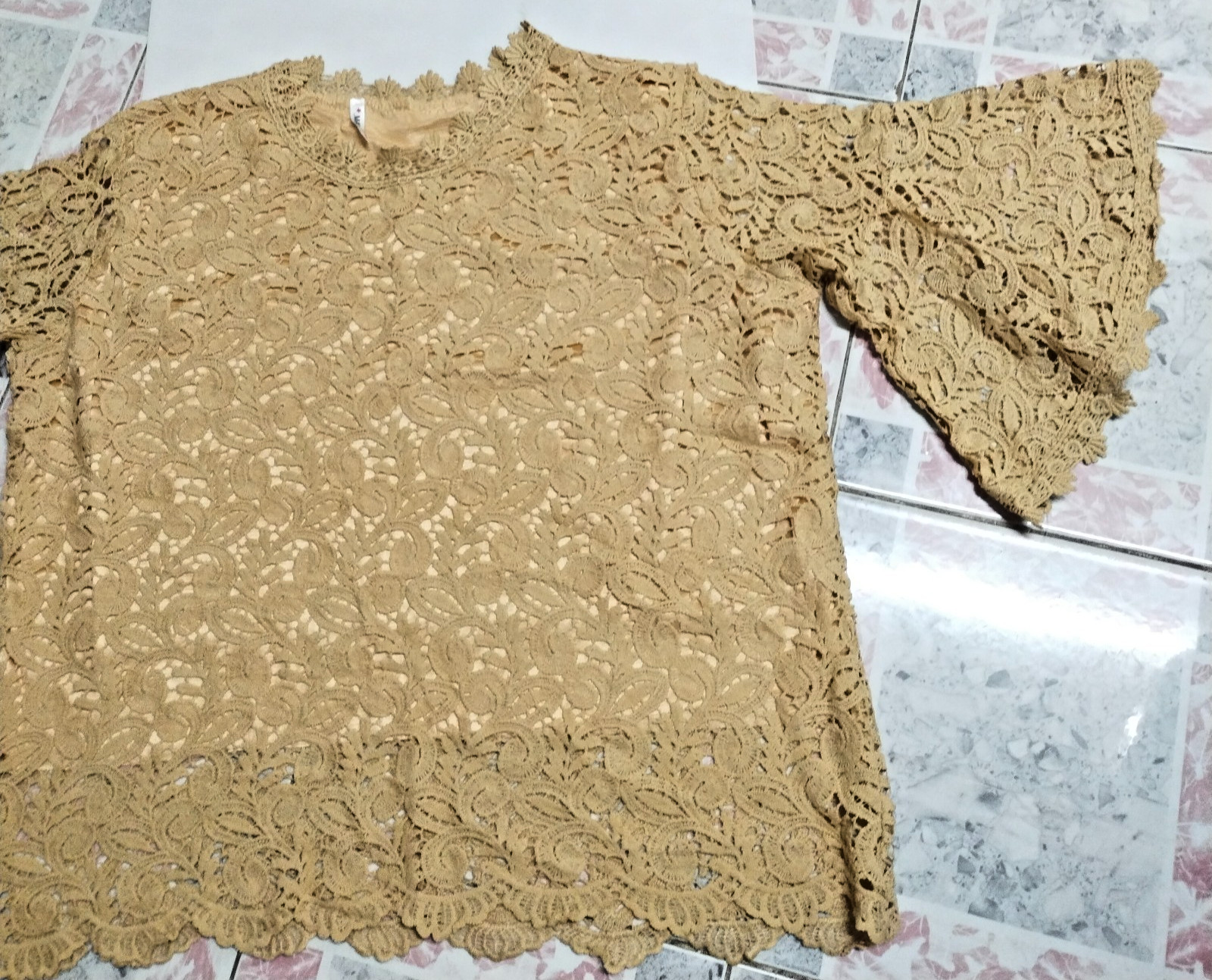 Fine Beige Lace Blouse/ Plus Size/ for All Occasions: Formal & Informal Events