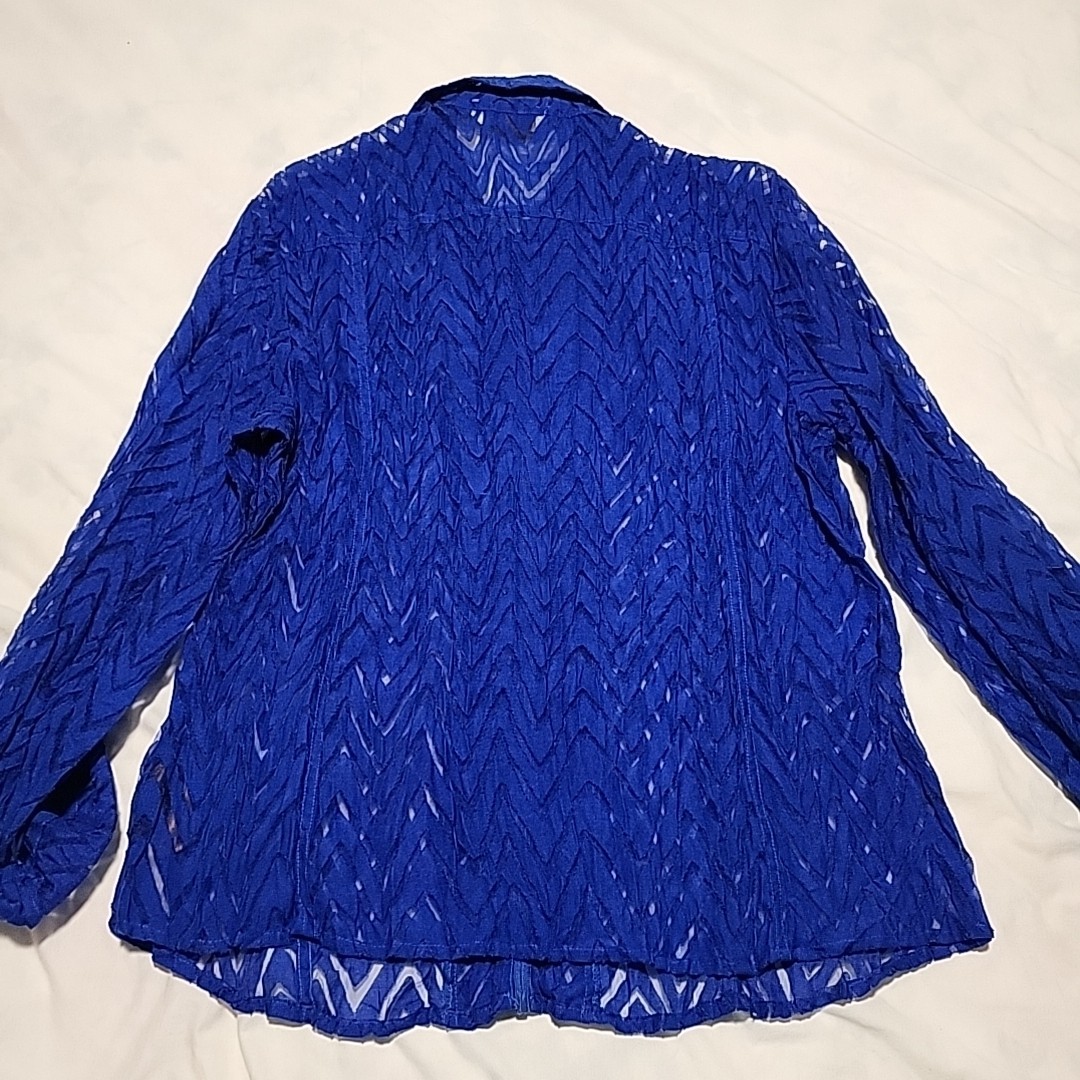 Drapers and Damons Petite Large Mesh Blouse Top Long Sleeve Lace Sheer Whimsical
