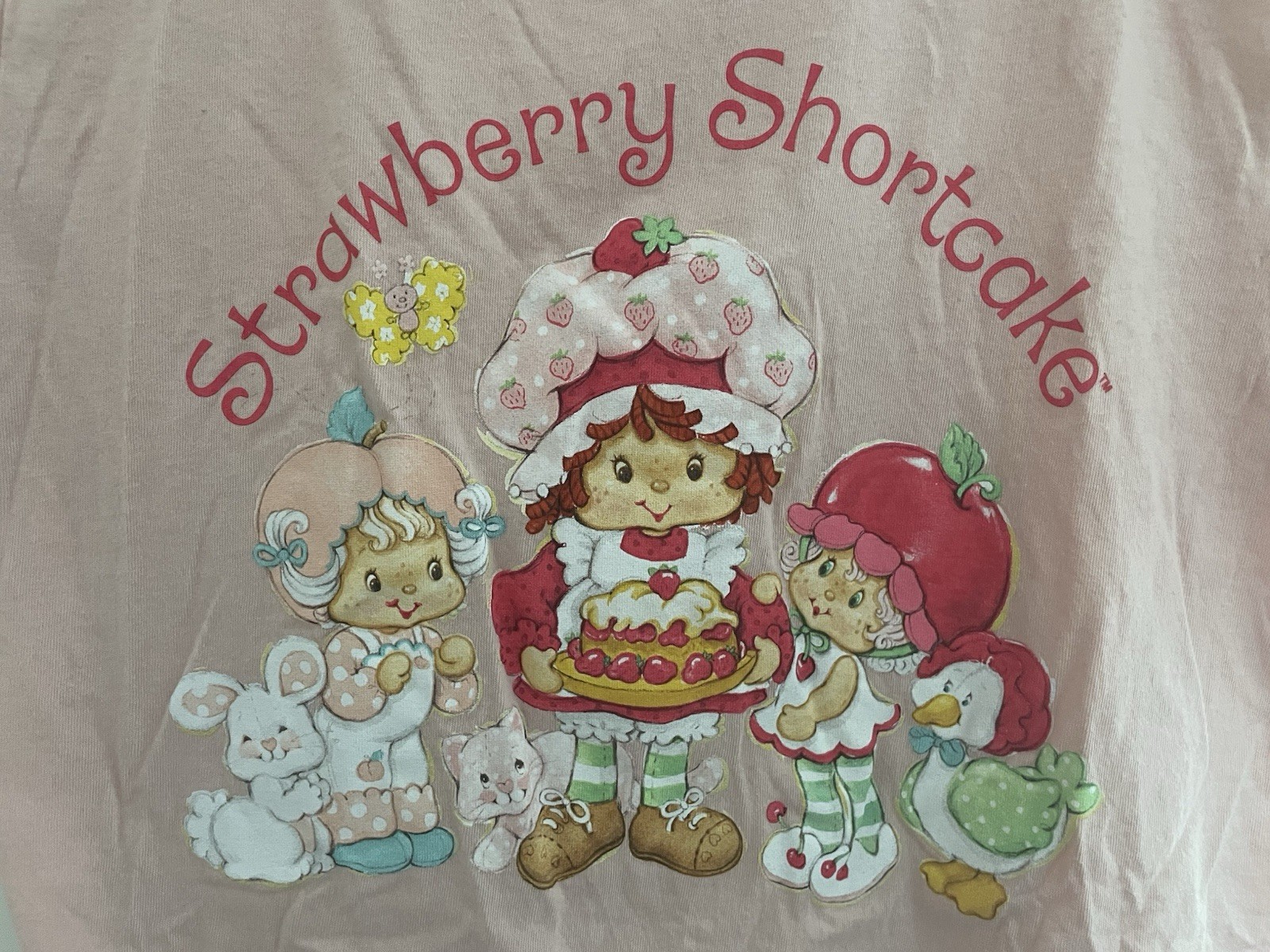 Strawberry Shortcake Women’s Cute Graphic 100% Cotton Short Sleeve Shirt Pink S