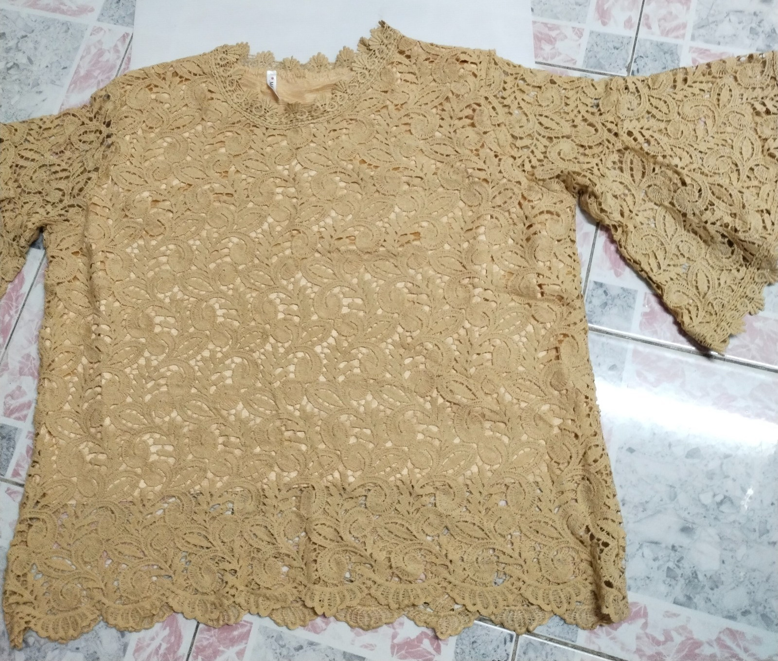 Fine Beige Lace Blouse/ Plus Size/ for All Occasions: Formal & Informal Events