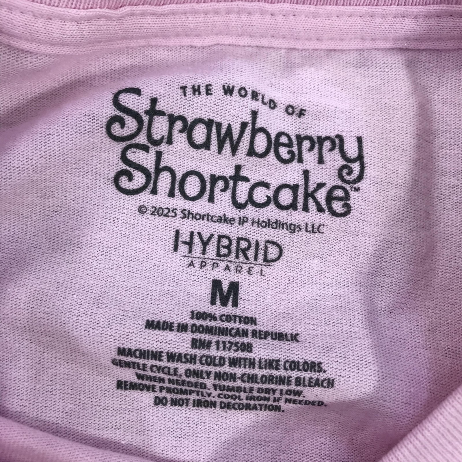 Hybrid Apparel Shirt Womens Medium Pink Strawberry Shortcake Graphic Tee Top NWT