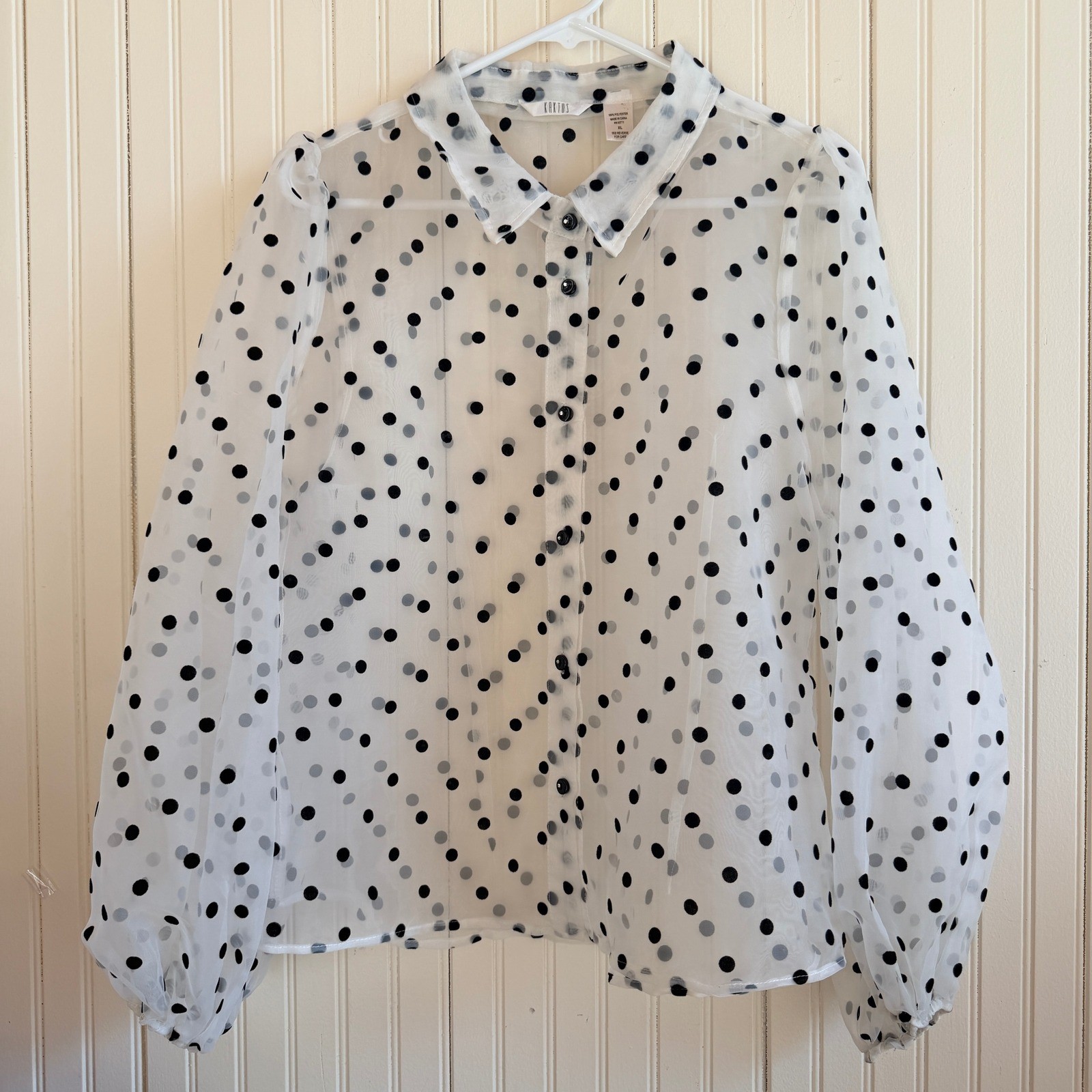 Kaktus Sheer Polka Dot Button Down Whimsigoth Romantic Blouse Balloon Sleeve