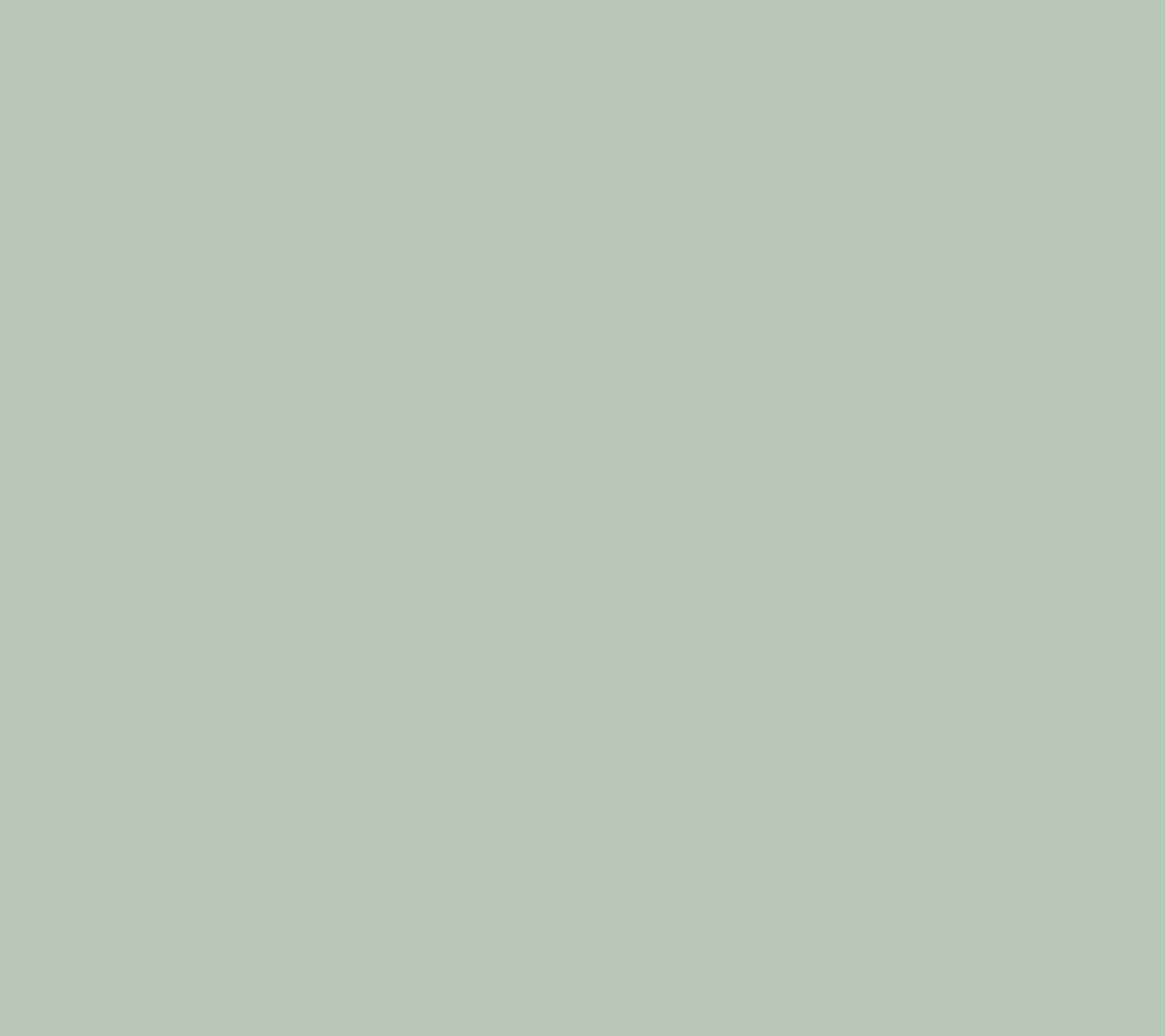 Anybody Women’s Top Sz M h Knit Round Neck Green A671775