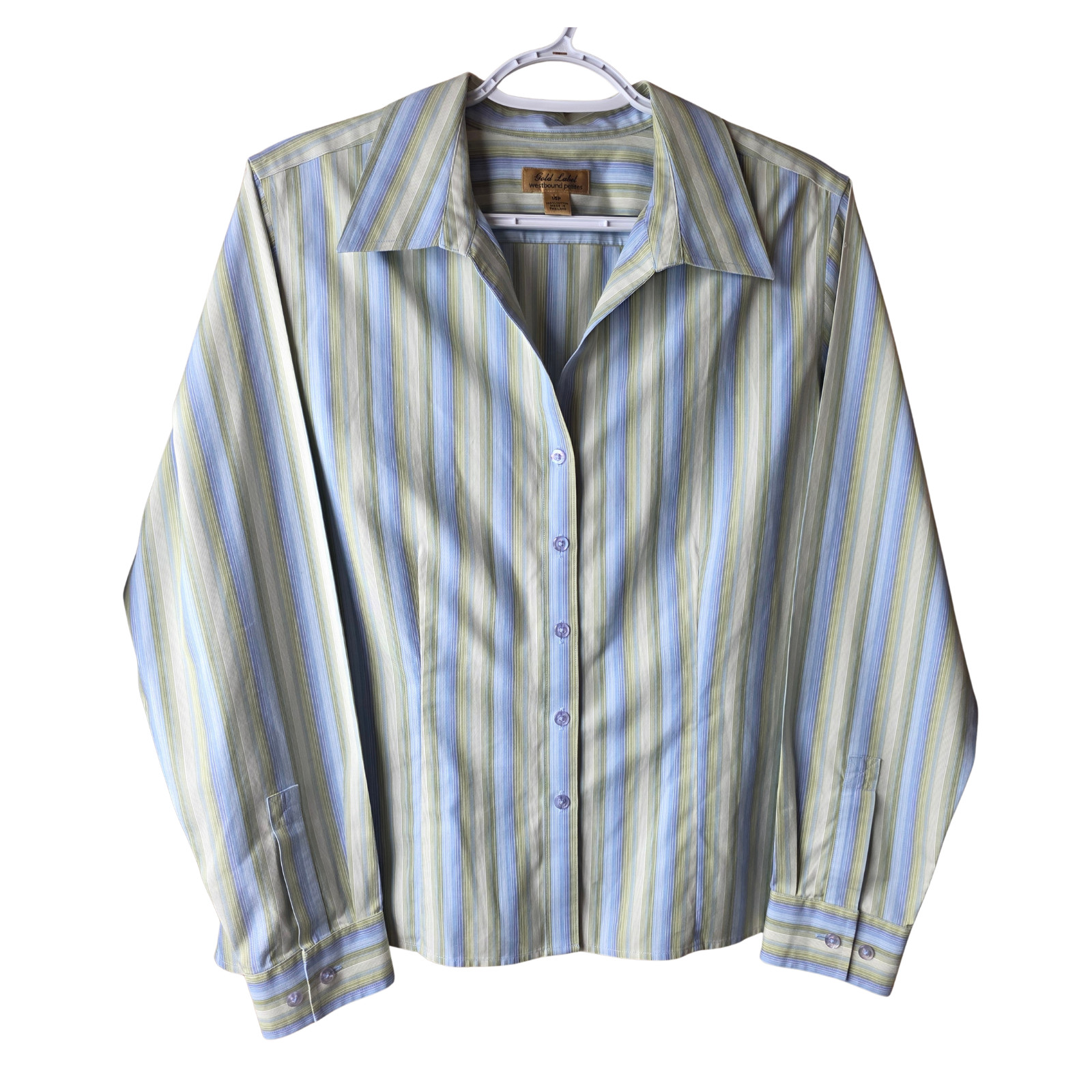Westbound Petites Gold Label 14P Striped Cotton Button Front Shirt Blue Green