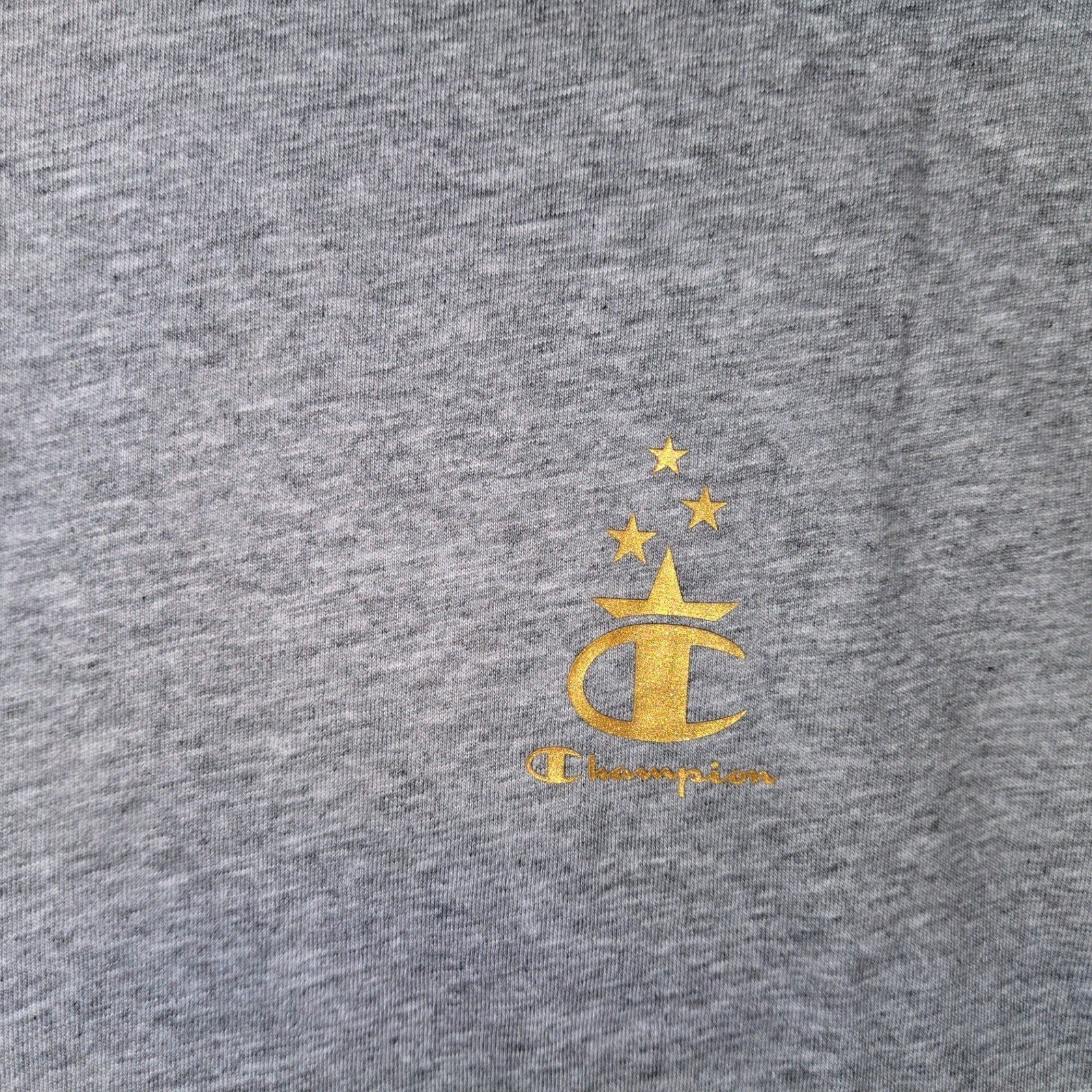 Champion USA Winter Collection Cropped T-Shirt Gray Gold Logo Stars Large