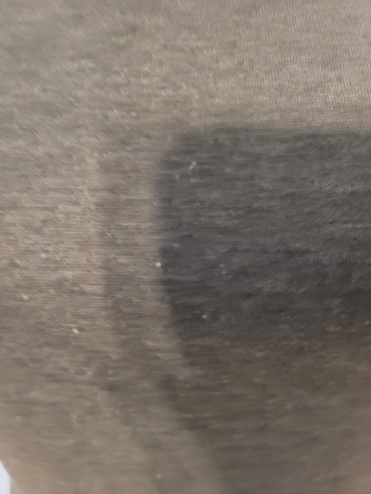 Espresso Size Small Blouse Womens Gray Short Sleeve Round Neck