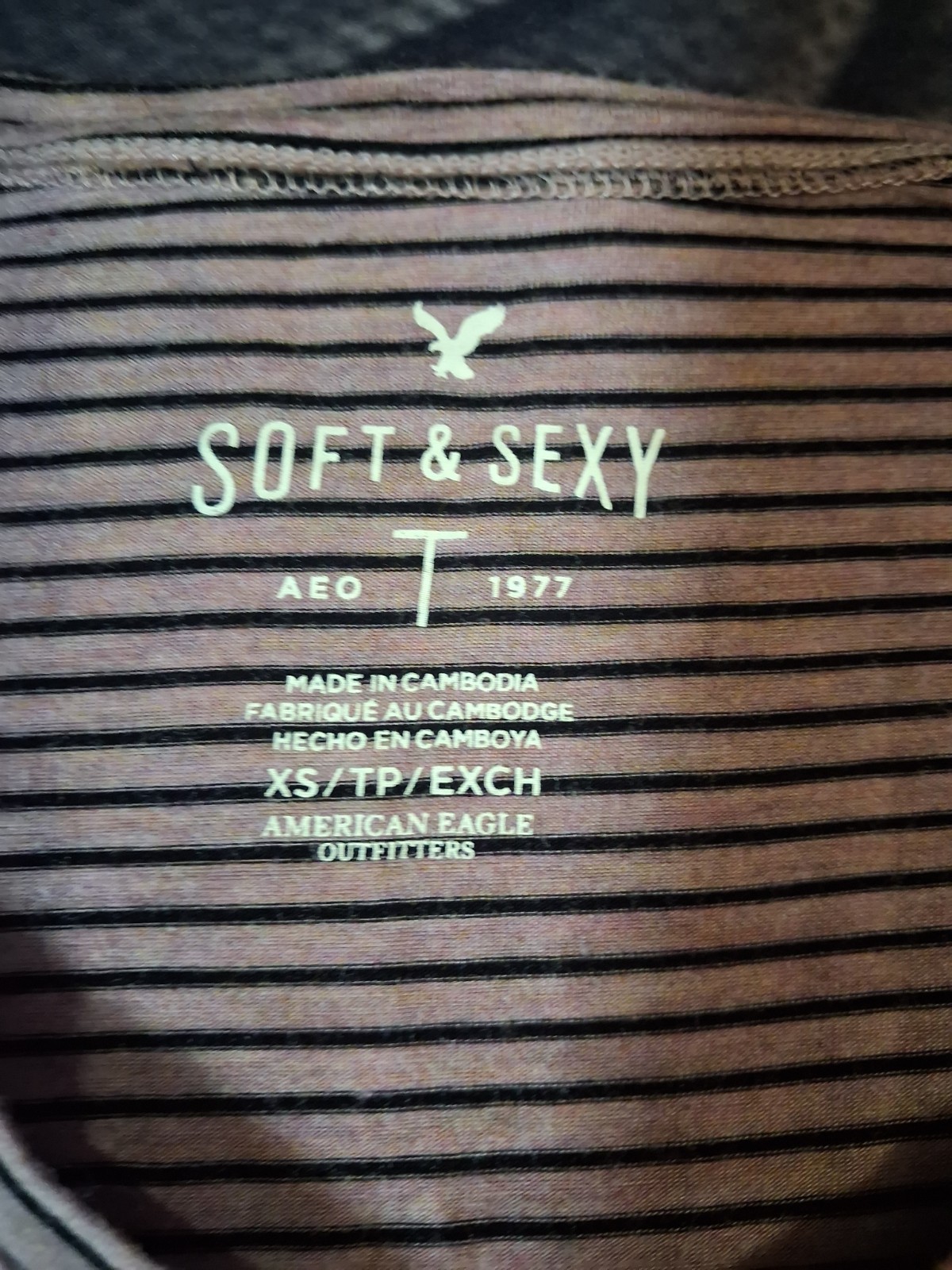 American Eagle “Soft & Sexy”Womens Tunic Style,V-neck, Relaxed Fit,Shirt Size XS