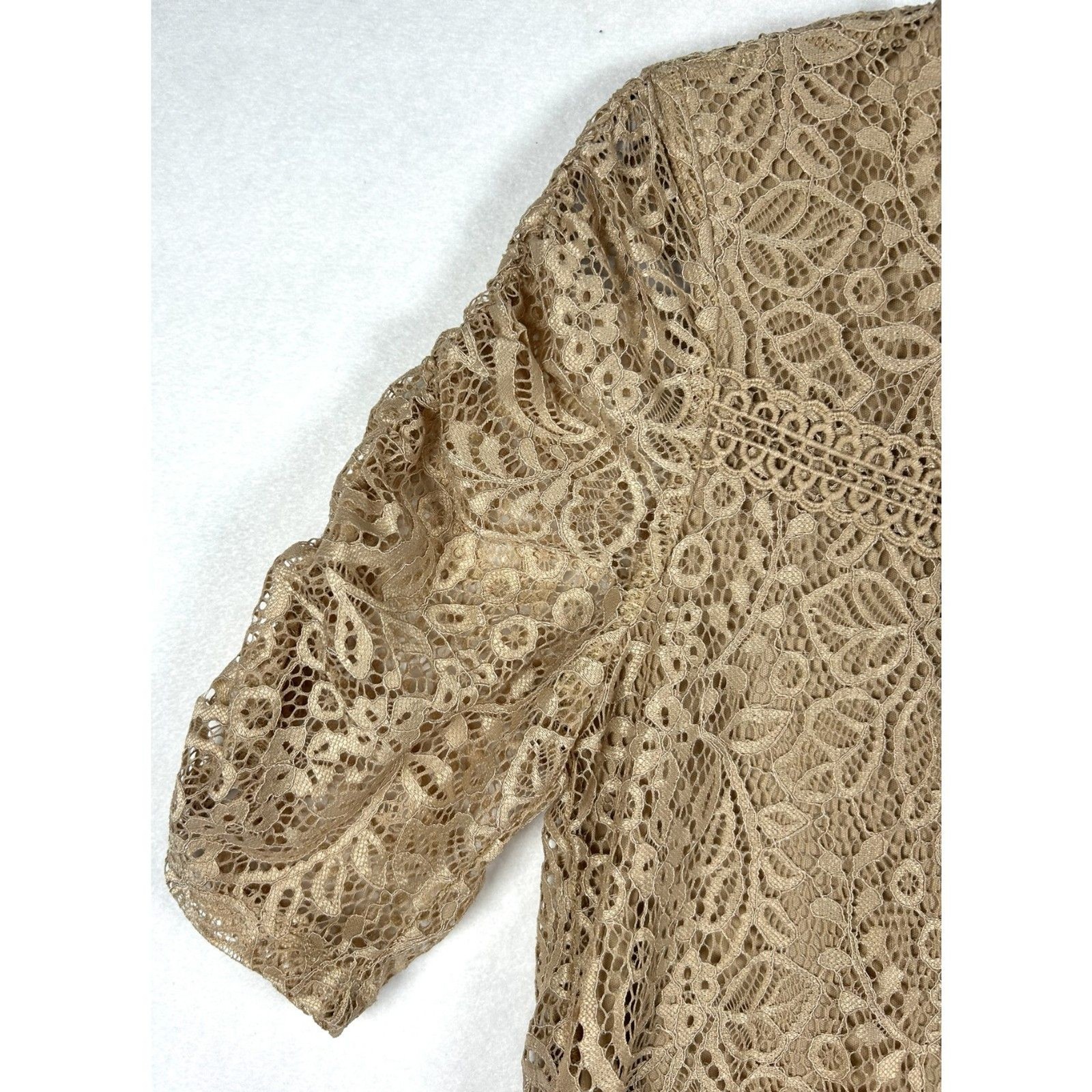 NWT Cable & Gauge Champagne Lace Blouse Top Boho Lined Short Sleeve Size M