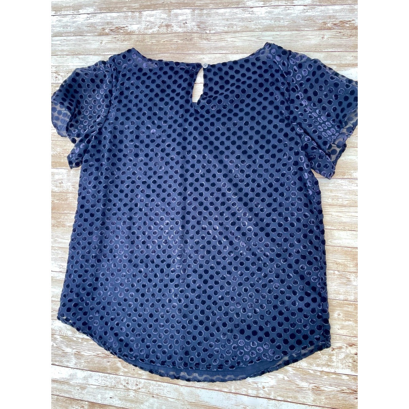 Loft Velvet Burnout Dot Top Sheer Nautical Navy Blue Flutter Sleeve Small EUC