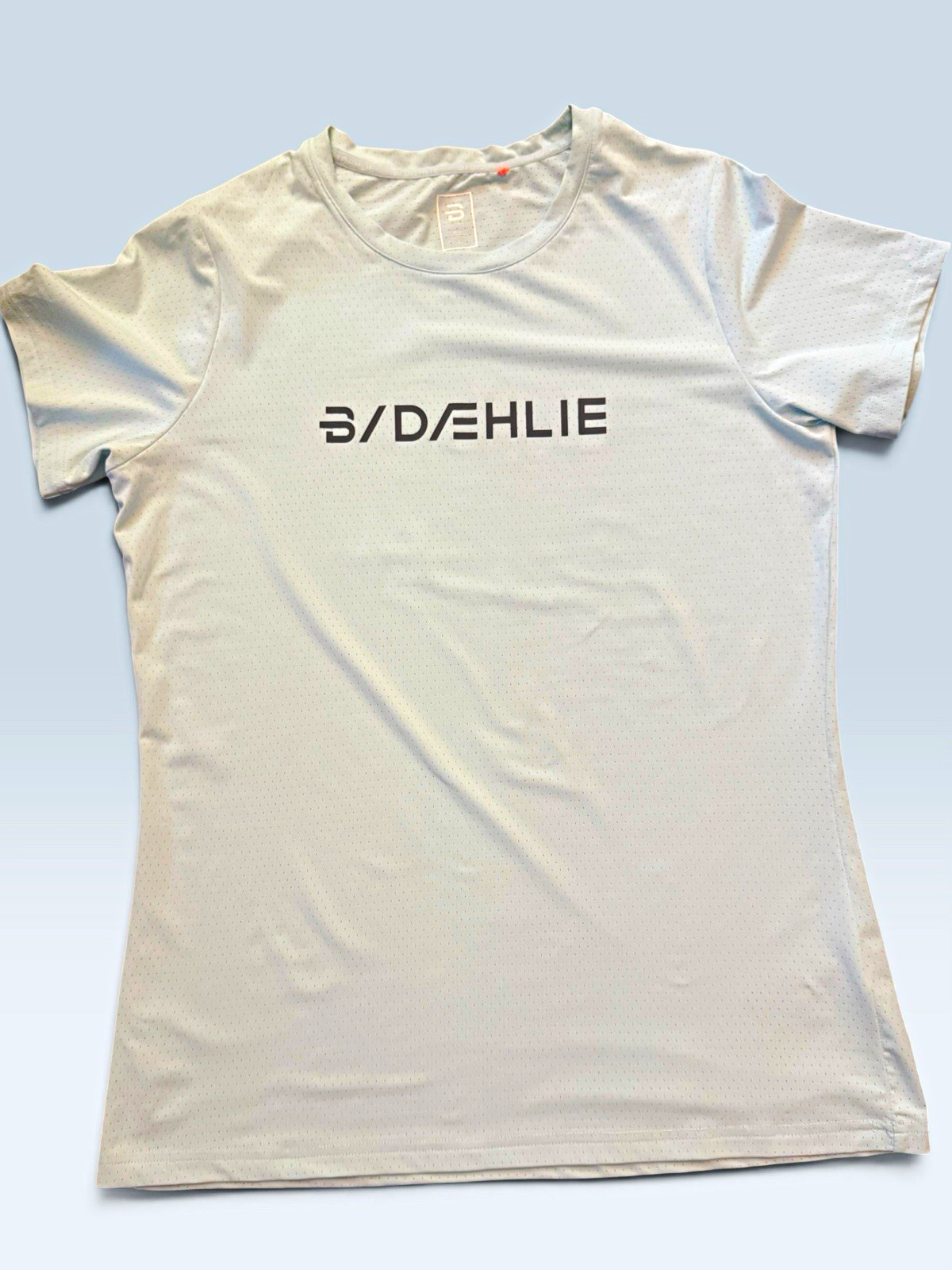 Daehlie Women’s L Light Blue Running Shirt Performance Mesh Athletic Quick Dry