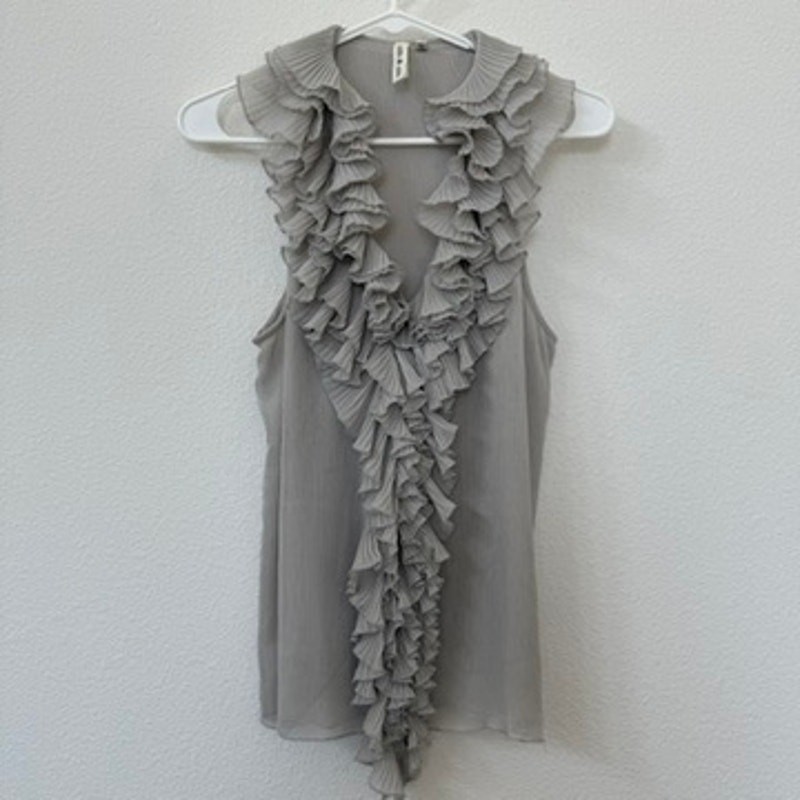 ROBBI & NIKKI Ruffle Front Blouse Sleeveless Pleated Gray Romantic Feminine L