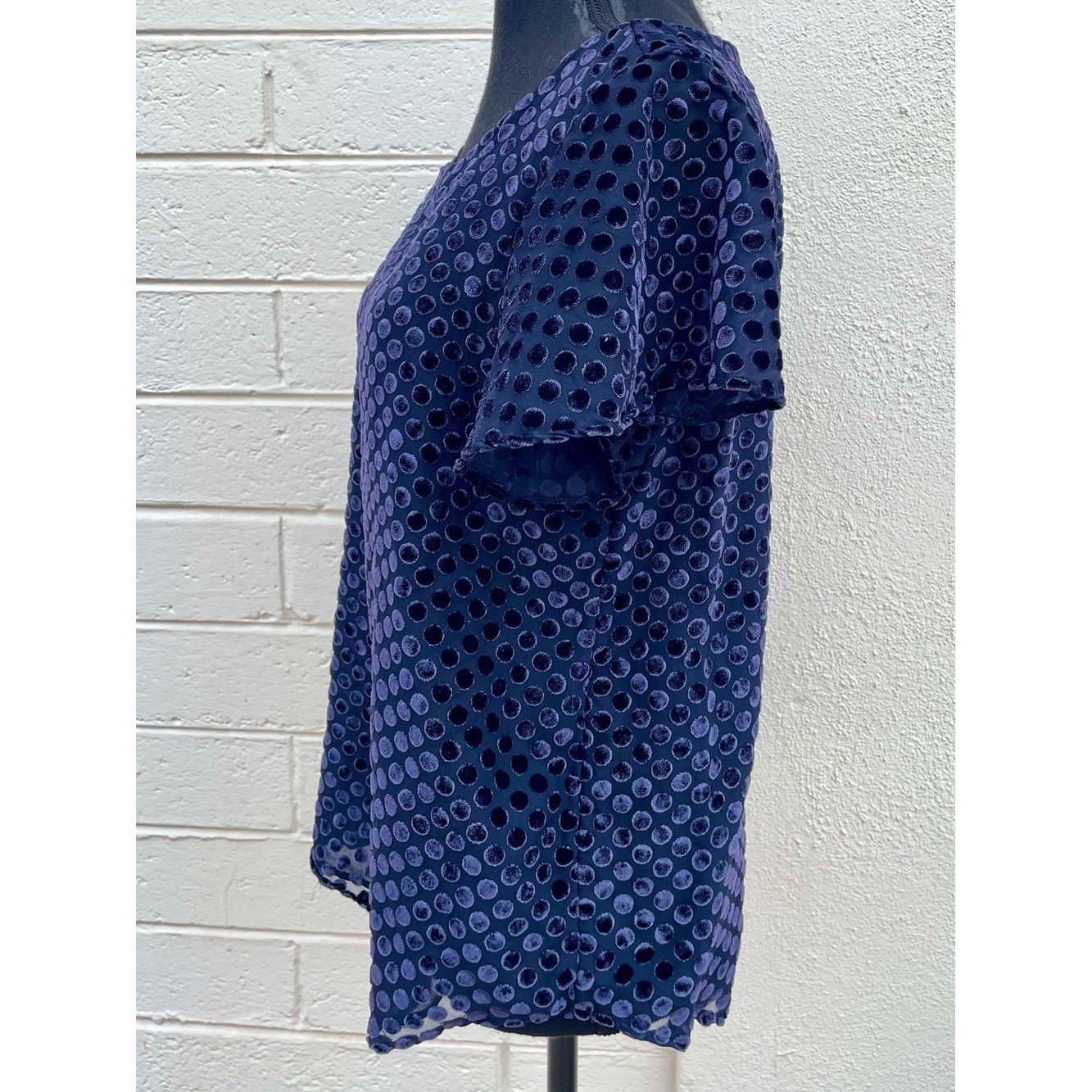 Loft Velvet Burnout Dot Top Sheer Nautical Navy Blue Flutter Sleeve Small EUC