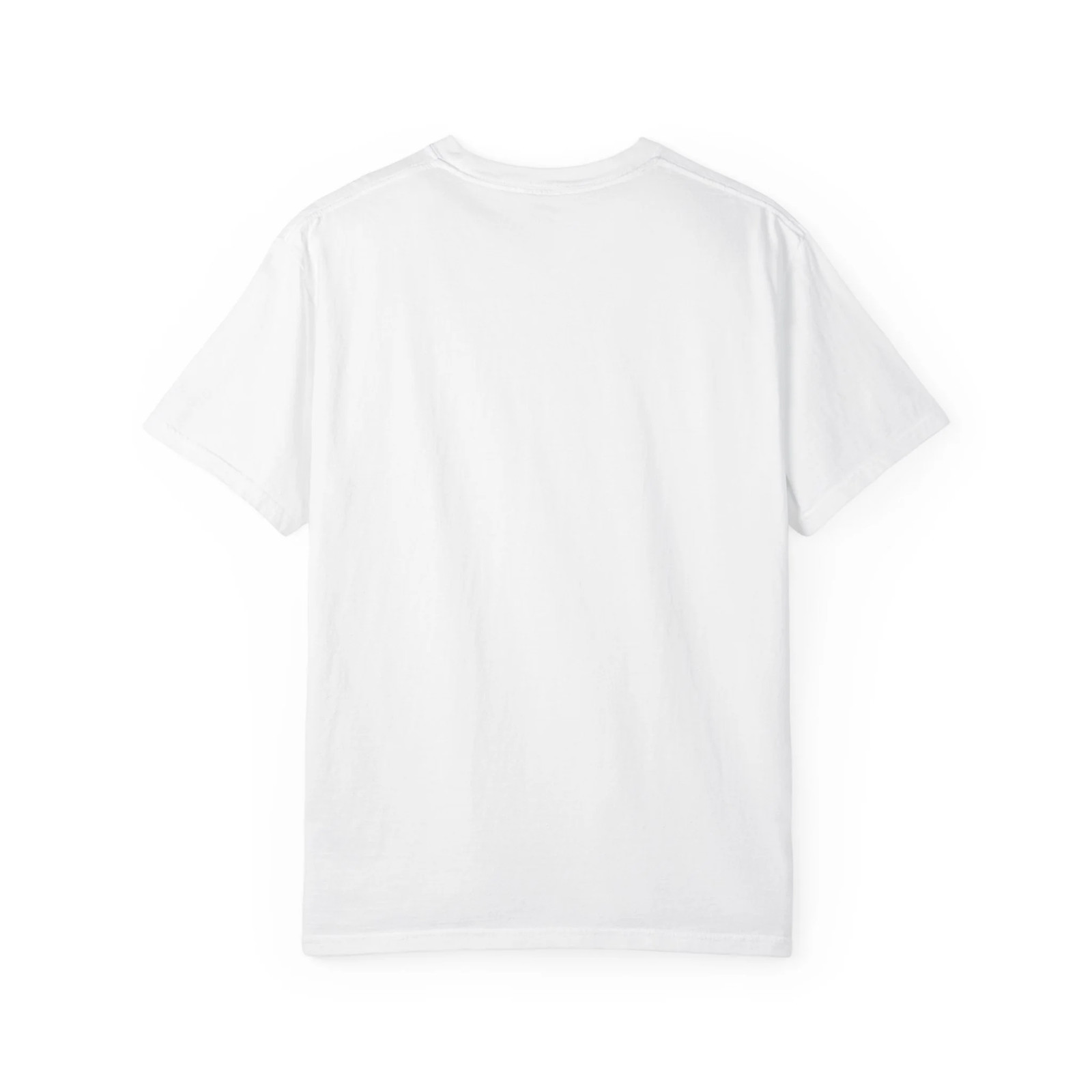 Certified Small-Town Observer Garment-Dyed T-Shirt